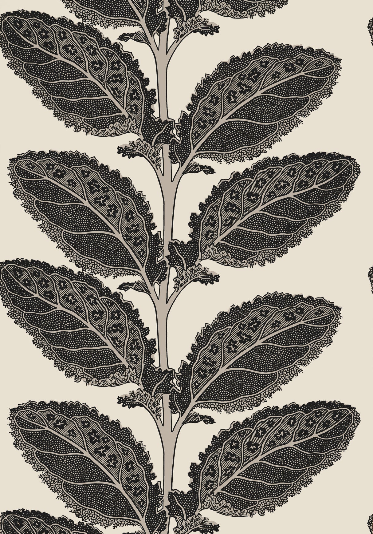 Thibaut T12038 LACINATO Basalt Black Wallpaper