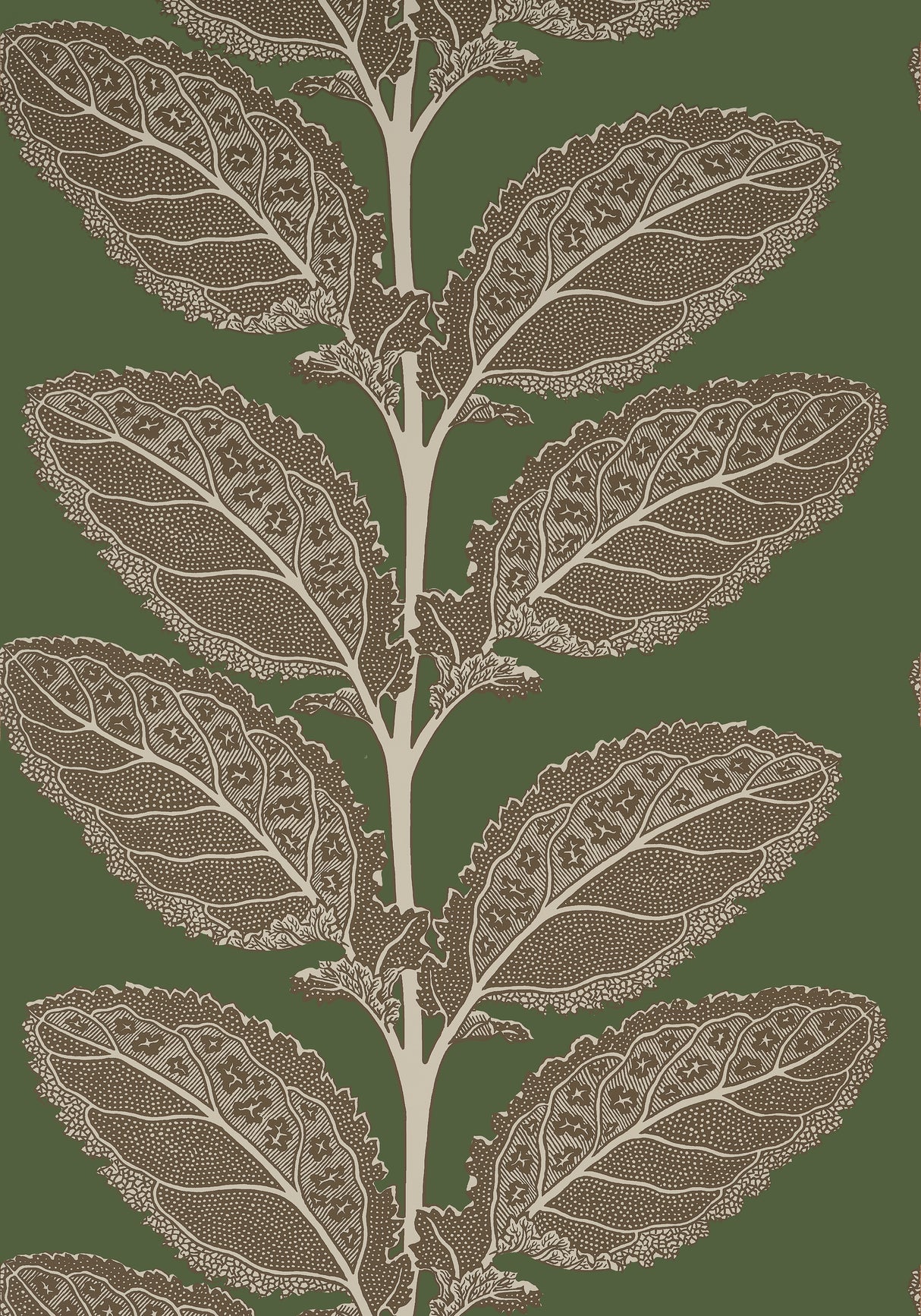 Thibaut T12040 LACINATO Wild Sage Wallpaper