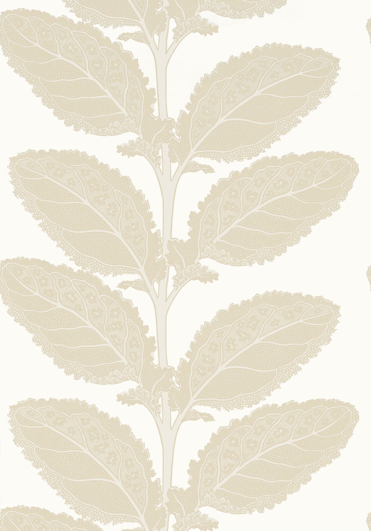 Thibaut T12041 LACINATO Birch Wallpaper