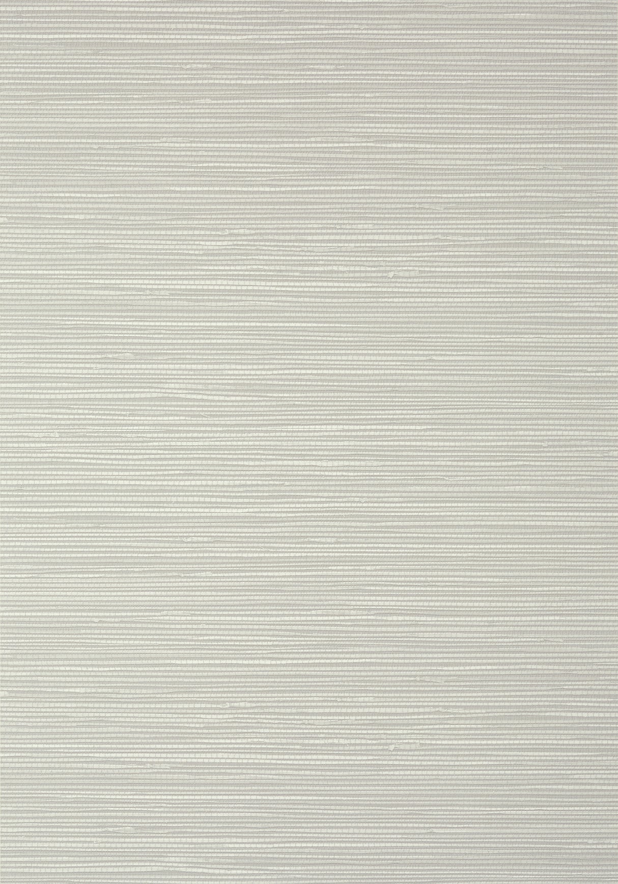 Thibaut T13336 ST. THOMAS Grey Wallpaper