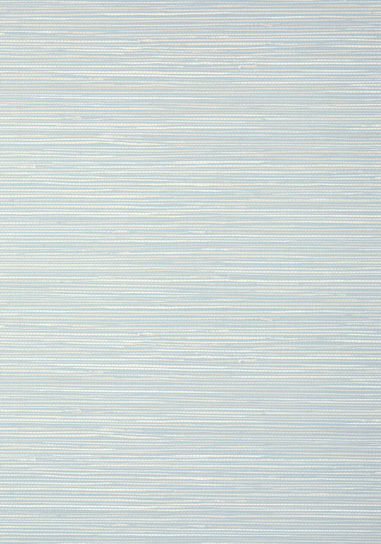 Thibaut T13338 ST. THOMAS Spa Blue Wallpaper