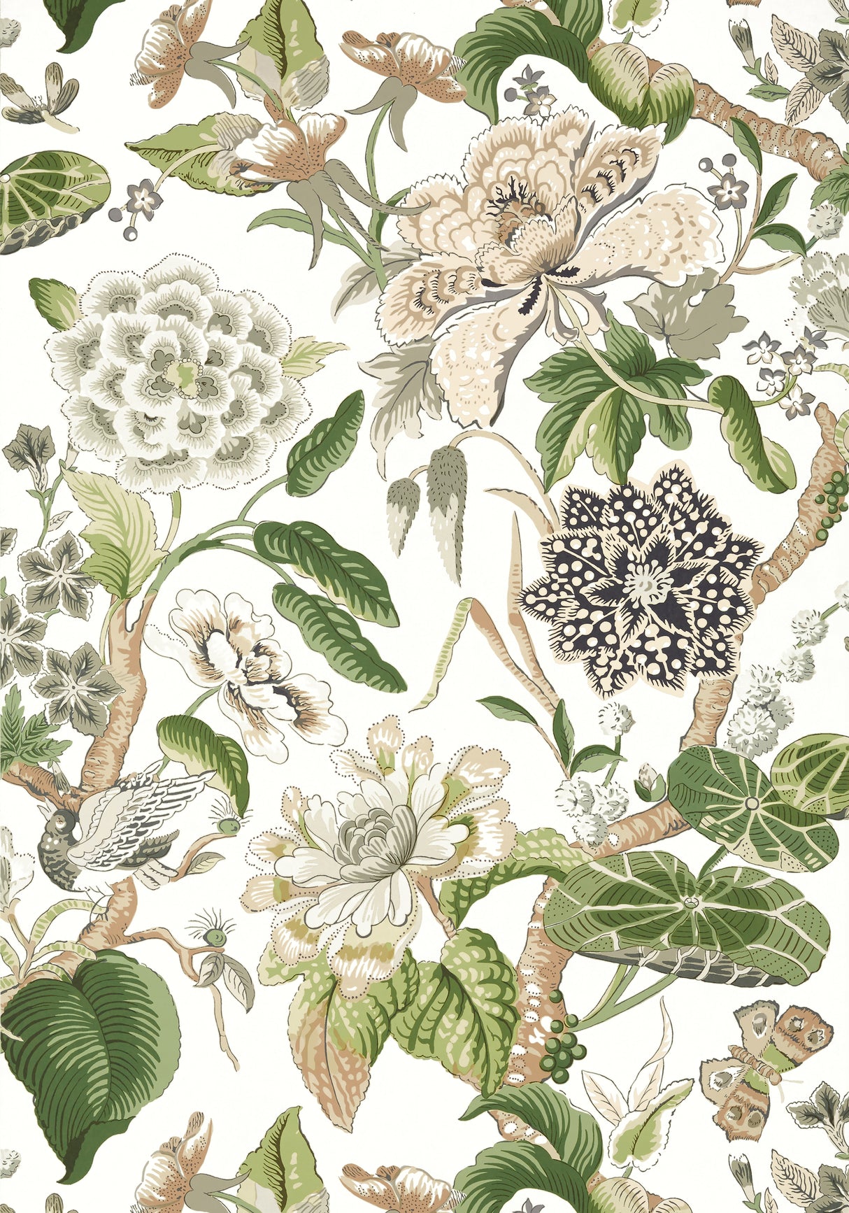 Thibaut T13656 HILL GARDEN White and Green Wallpaper