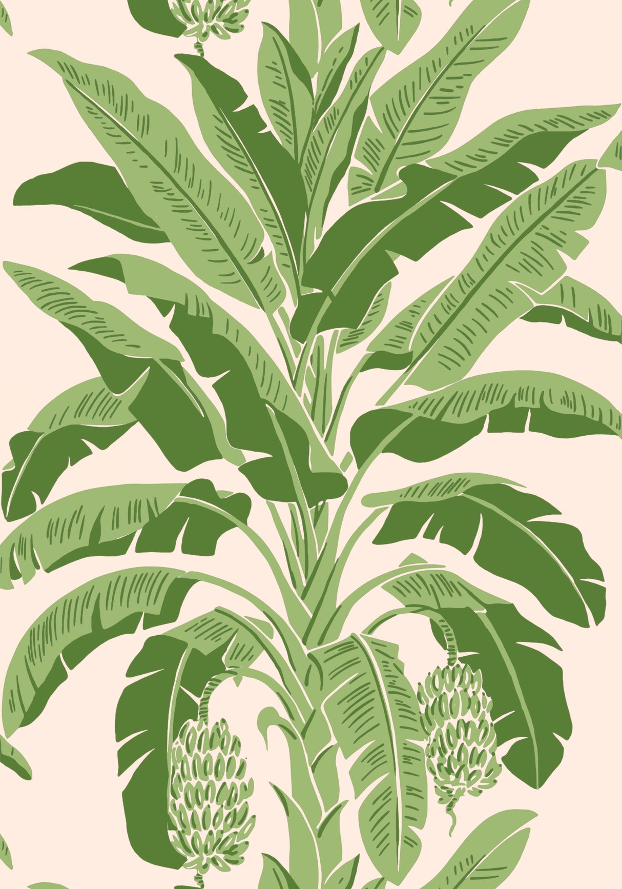 Thibaut T13917 BANANA TREE Pink and Green Wallpaper