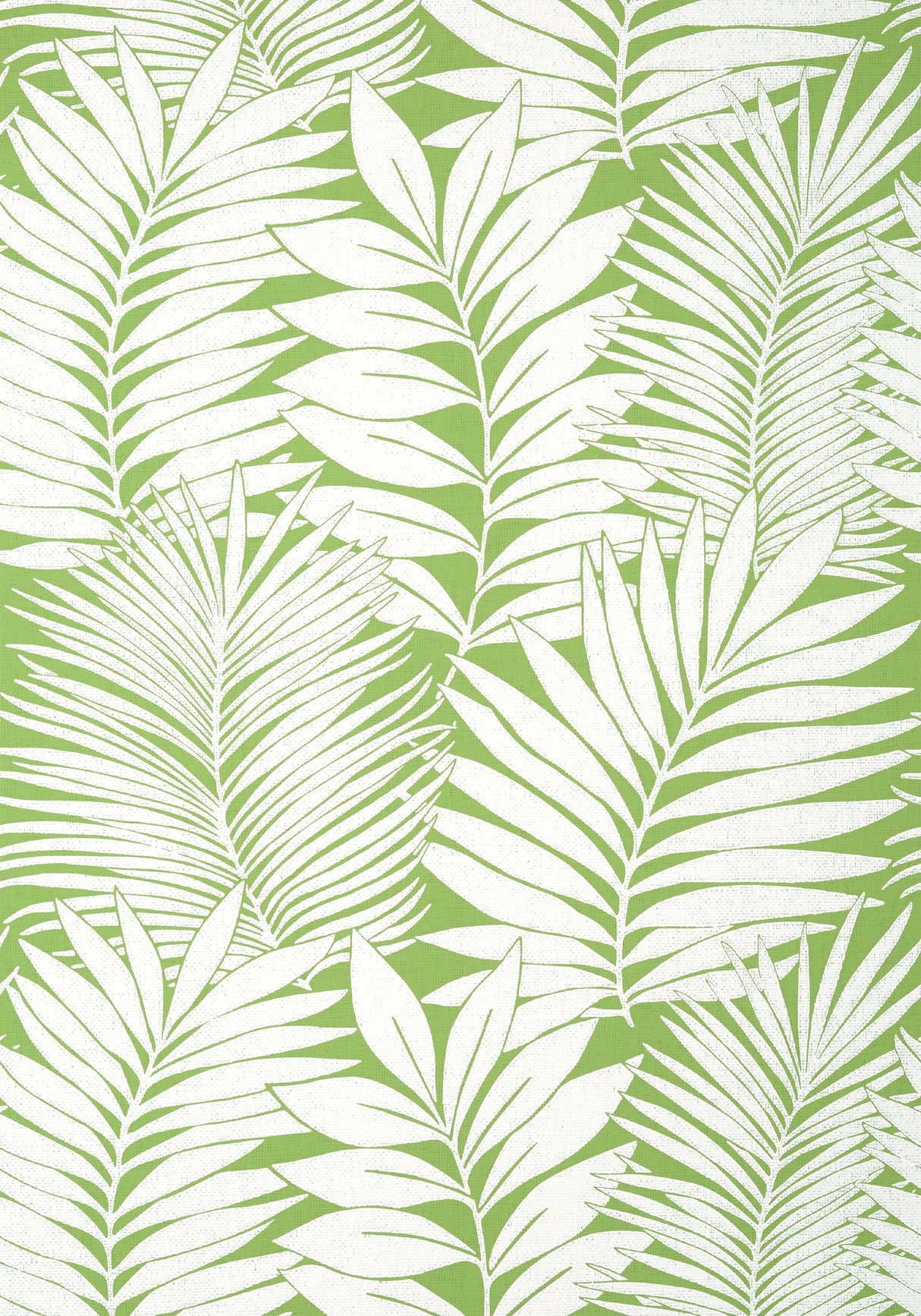 Thibaut T13927 SIESTA KEY Green Wallpaper