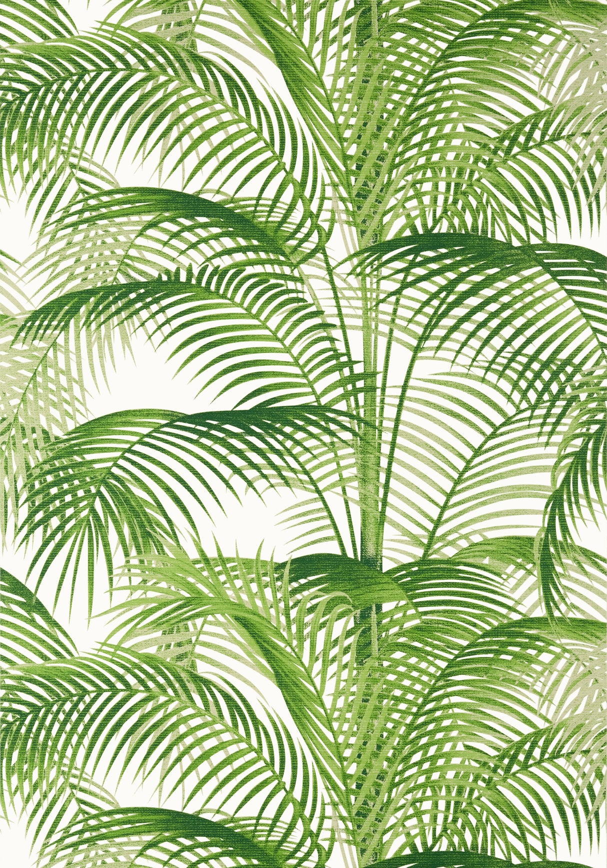 Thibaut T13938 DELRAY Green Wallpaper