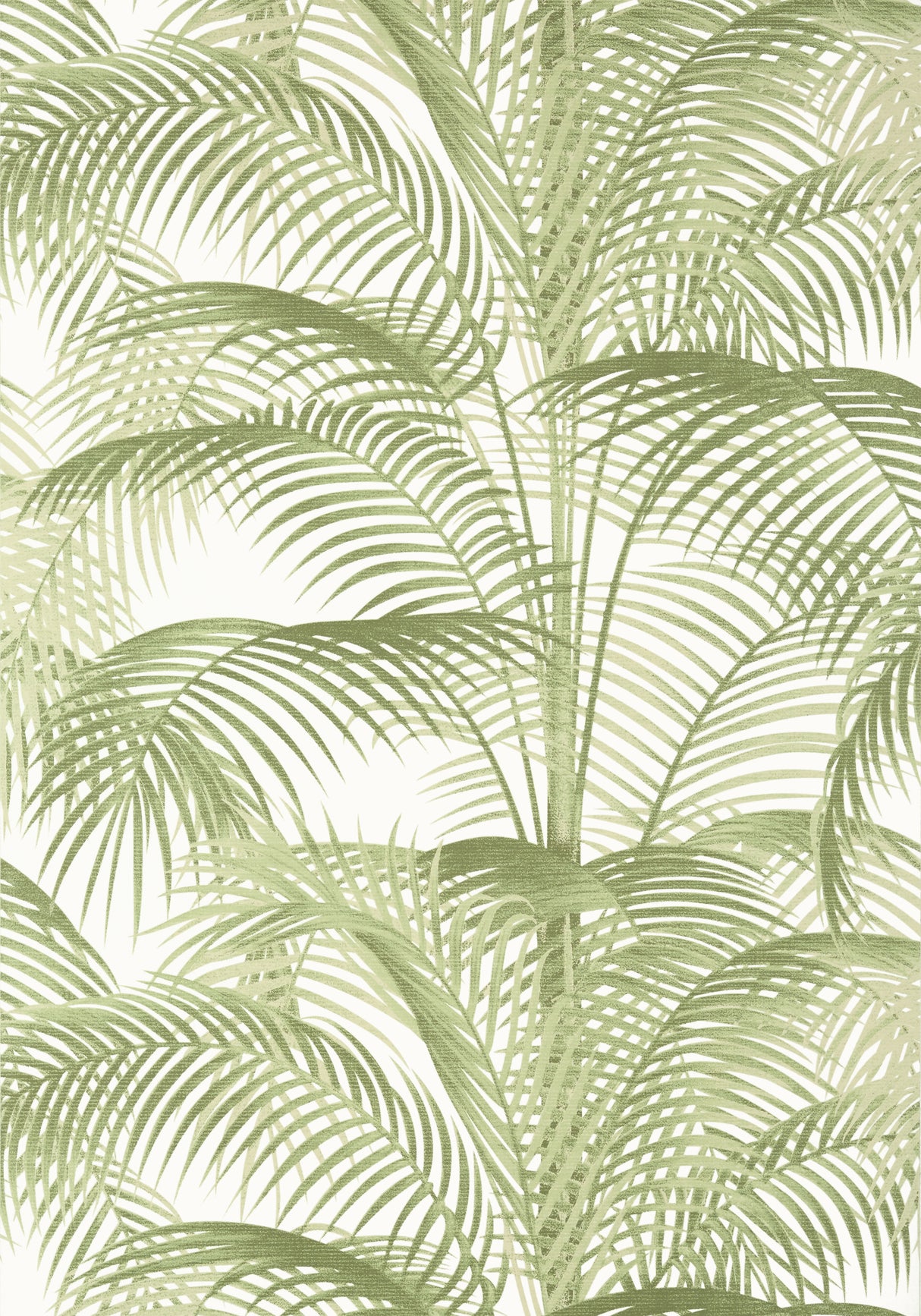 Thibaut T13939 DELRAY Sage Wallpaper