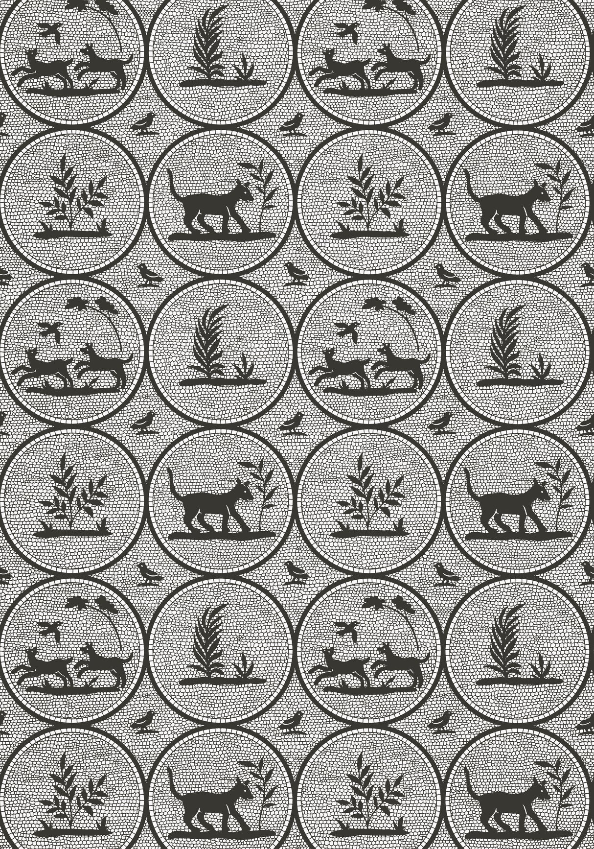 Thibaut T14347 DOOLEY Black Wallpaper