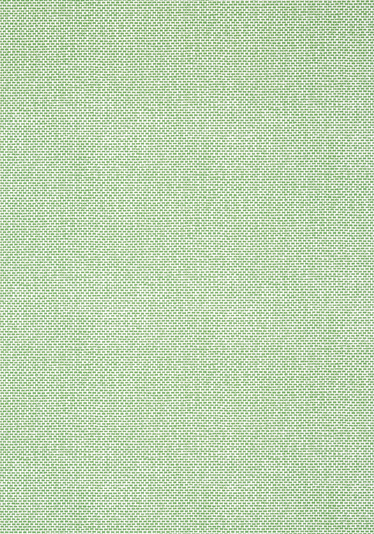 Thibaut T16261 PALAWAN Green Wallpaper