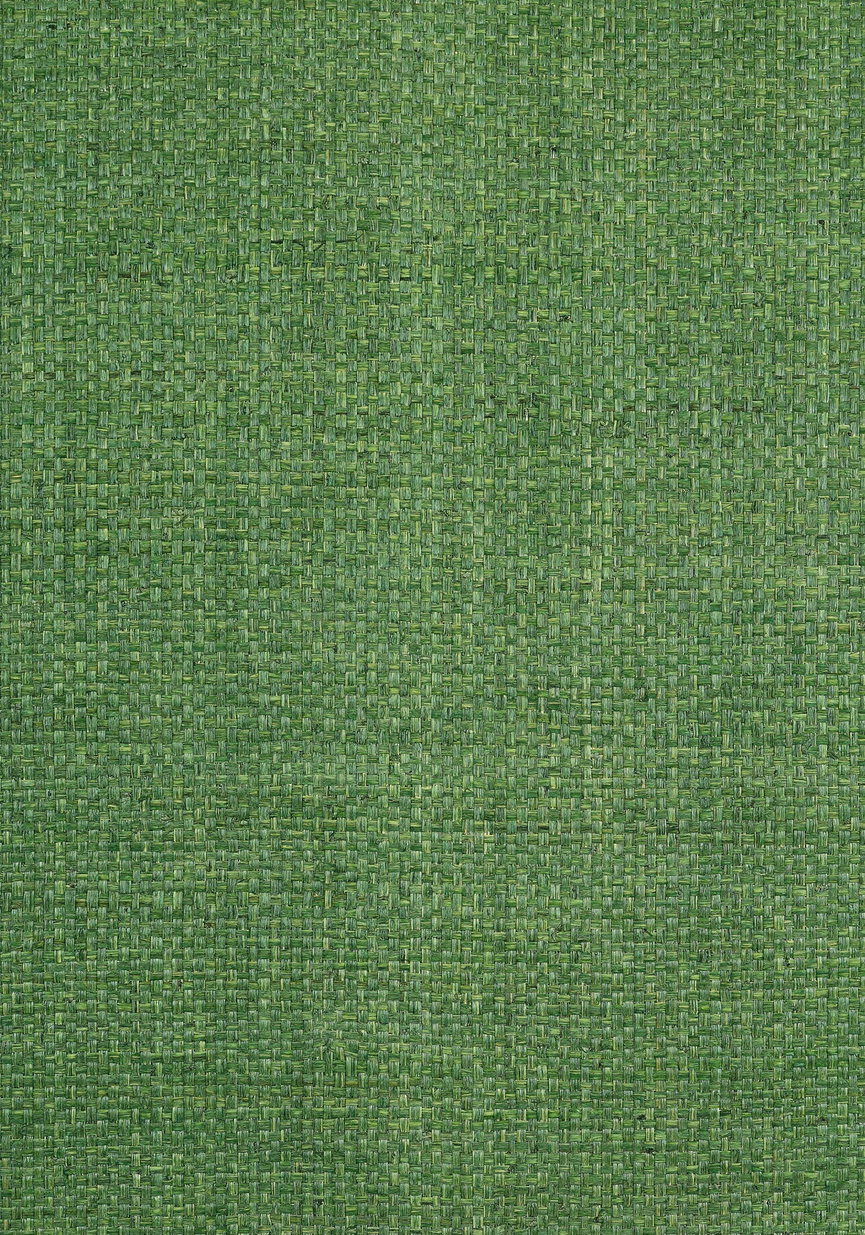 Thibaut T19607 LAUDERDALE Green Wallpaper