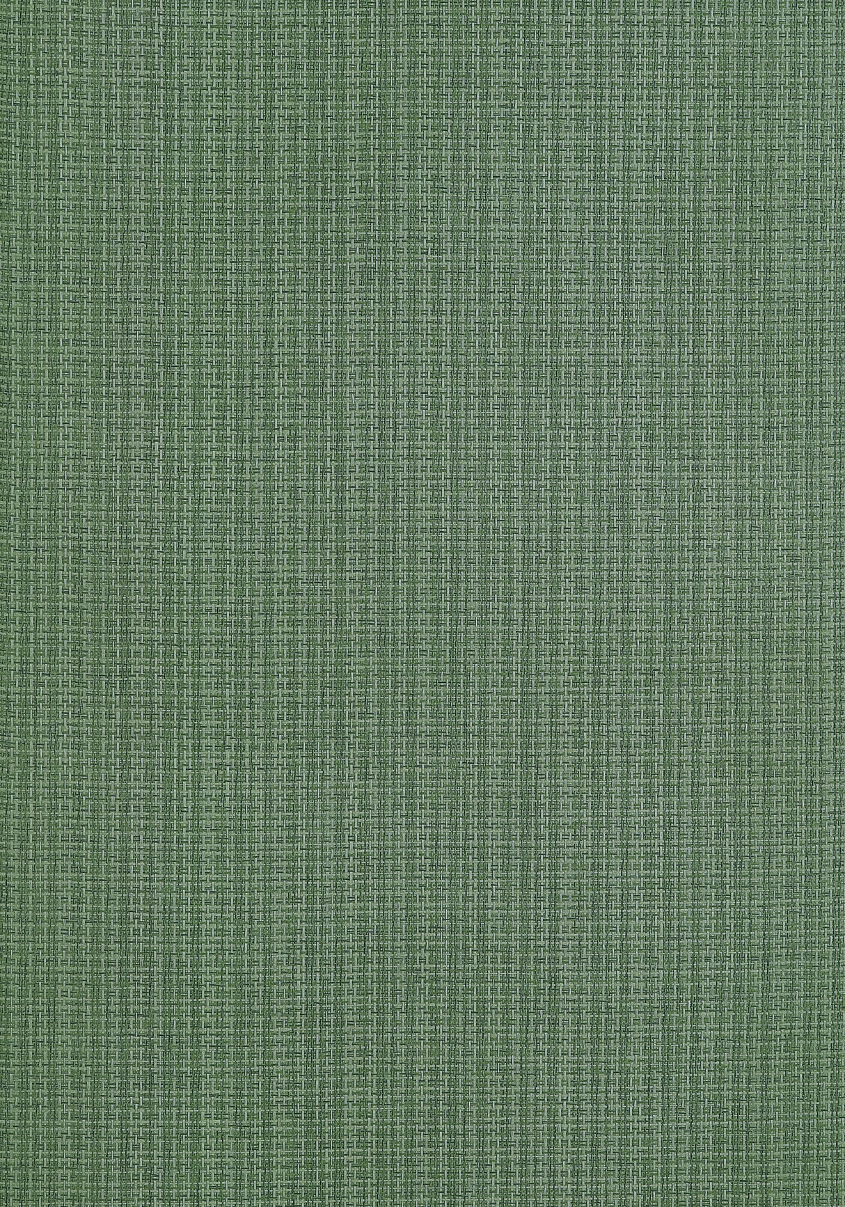 Thibaut T19630 COASTLINE Spruce Wallpaper