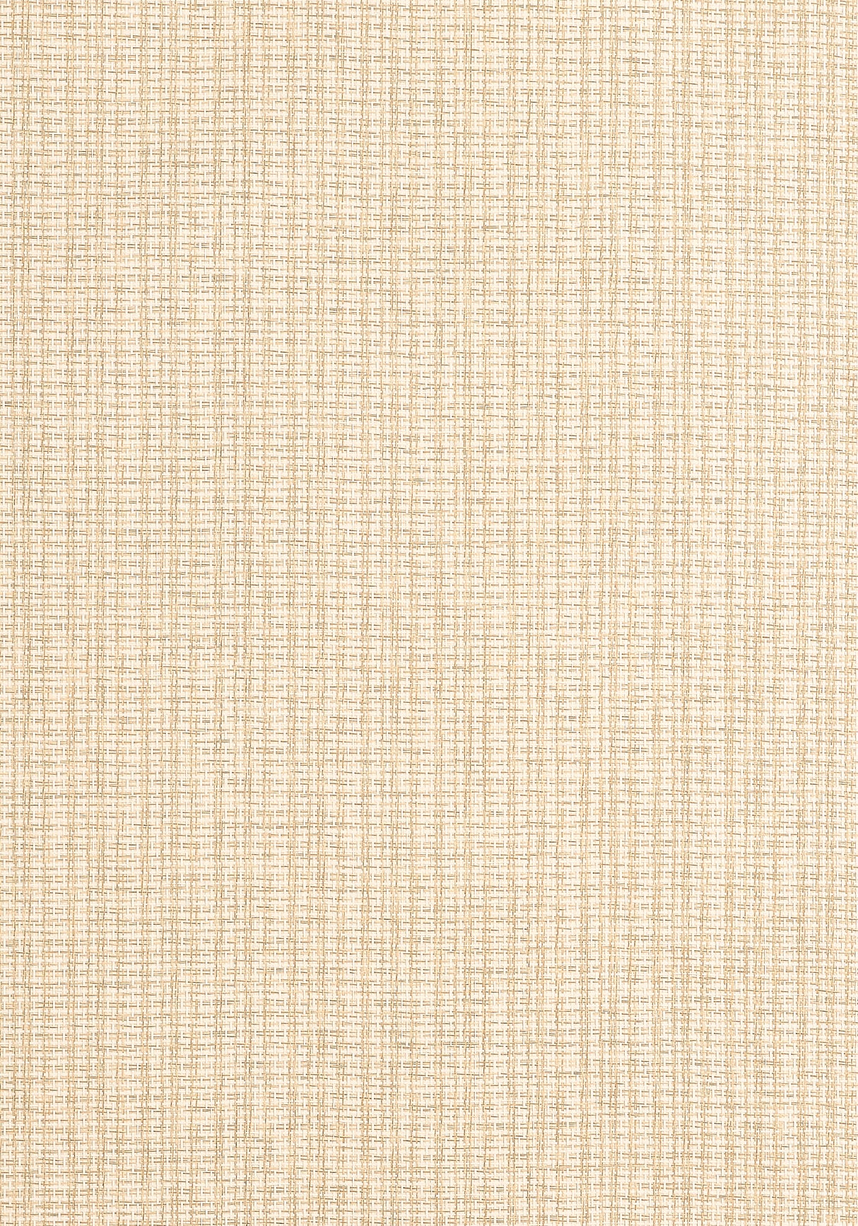 Thibaut T19637 COASTLINE Wheat Wallpaper