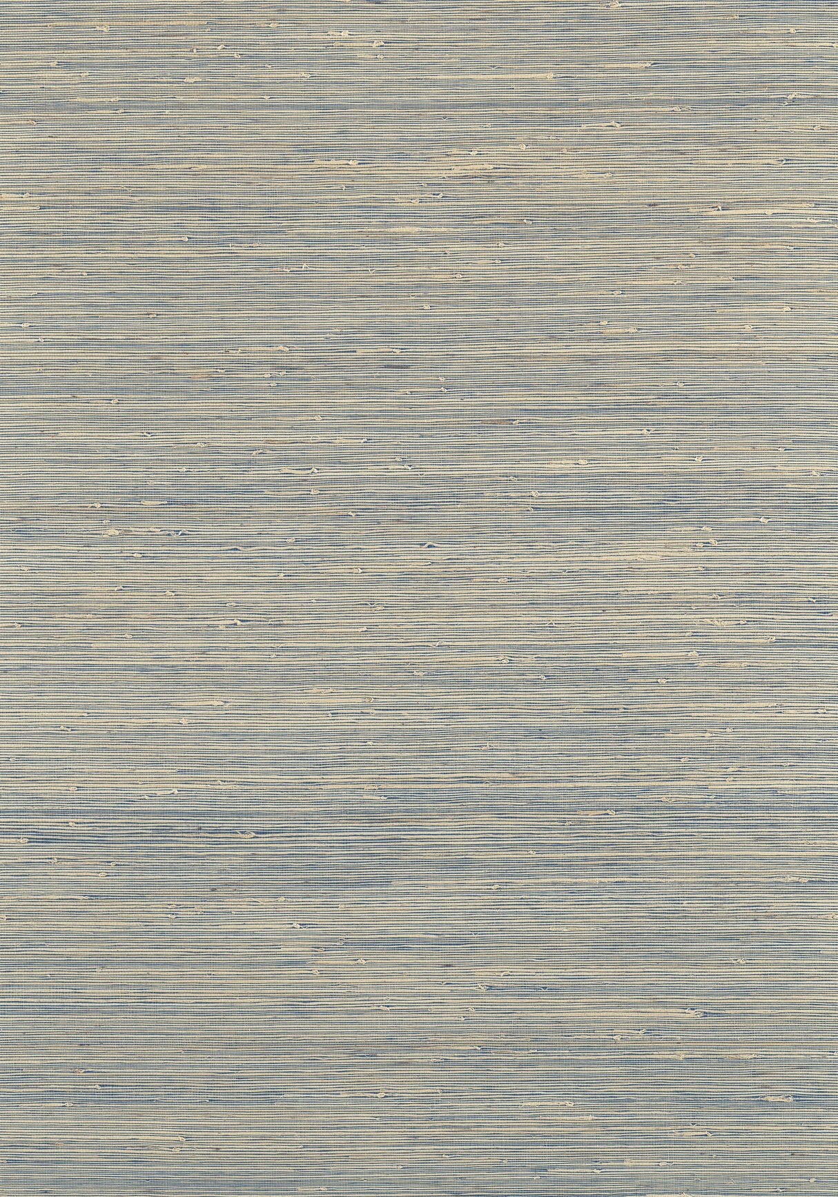 Thibaut T19652 SYDNEY Royal Blue Wallpaper