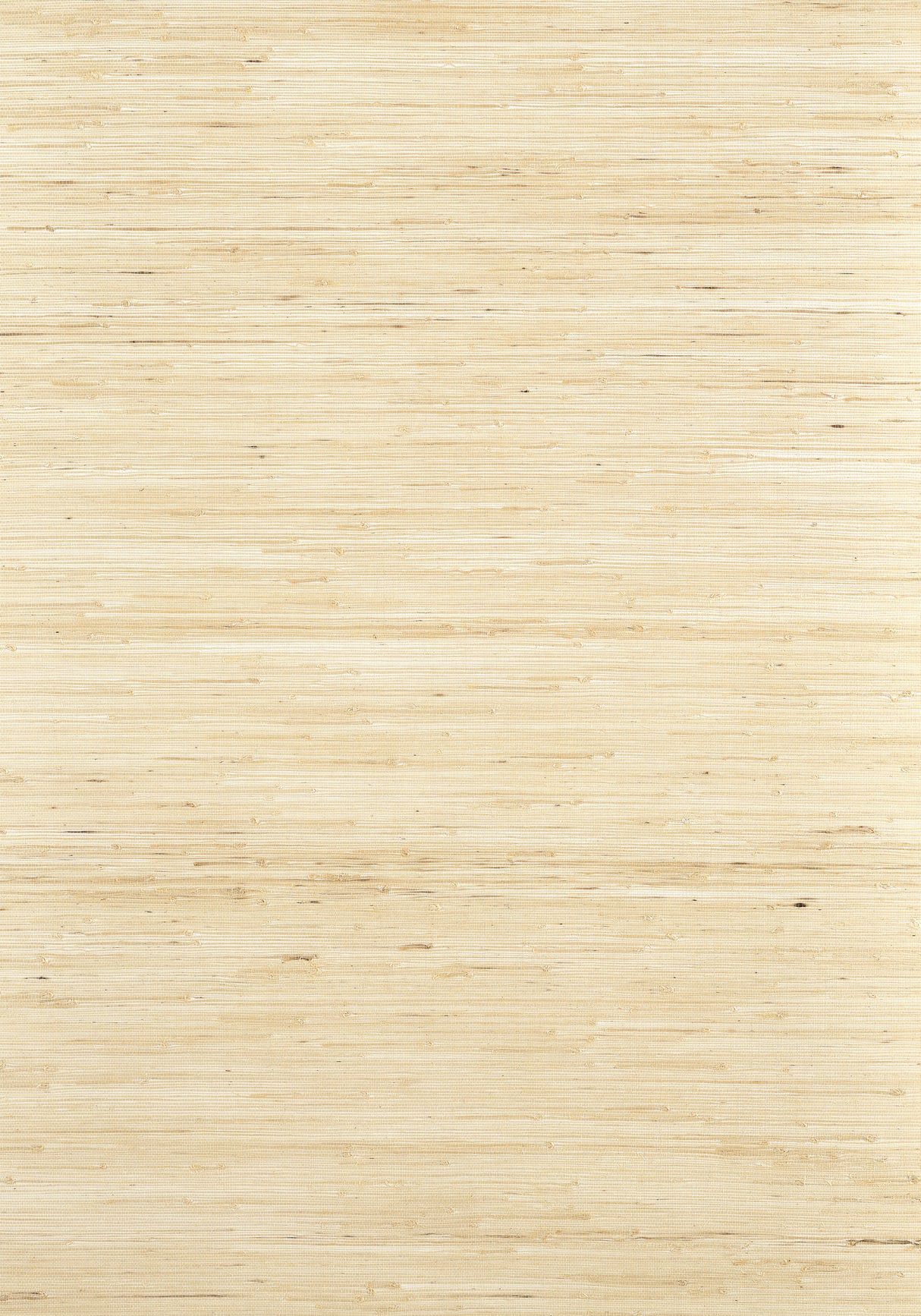 Thibaut T19653 SYDNEY Paperwhite Wallpaper