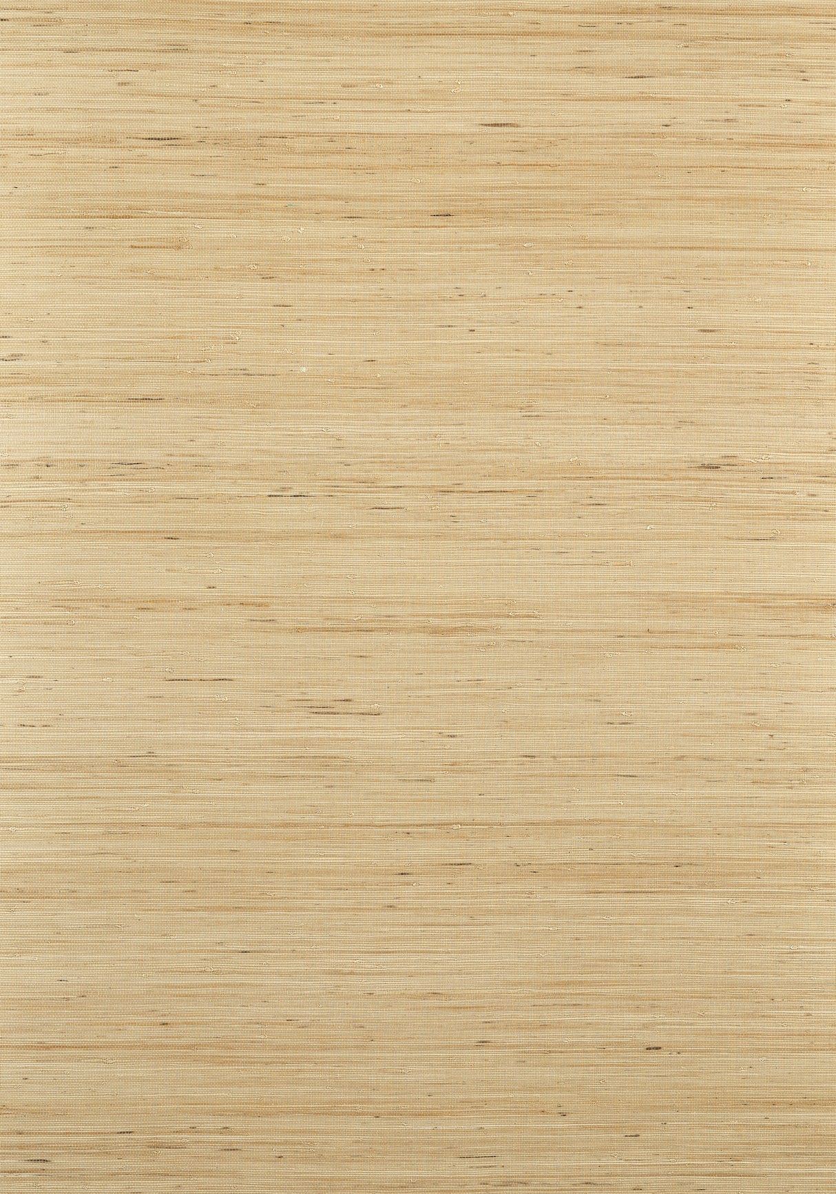 Thibaut T19654 SYDNEY Light Taupe Wallpaper