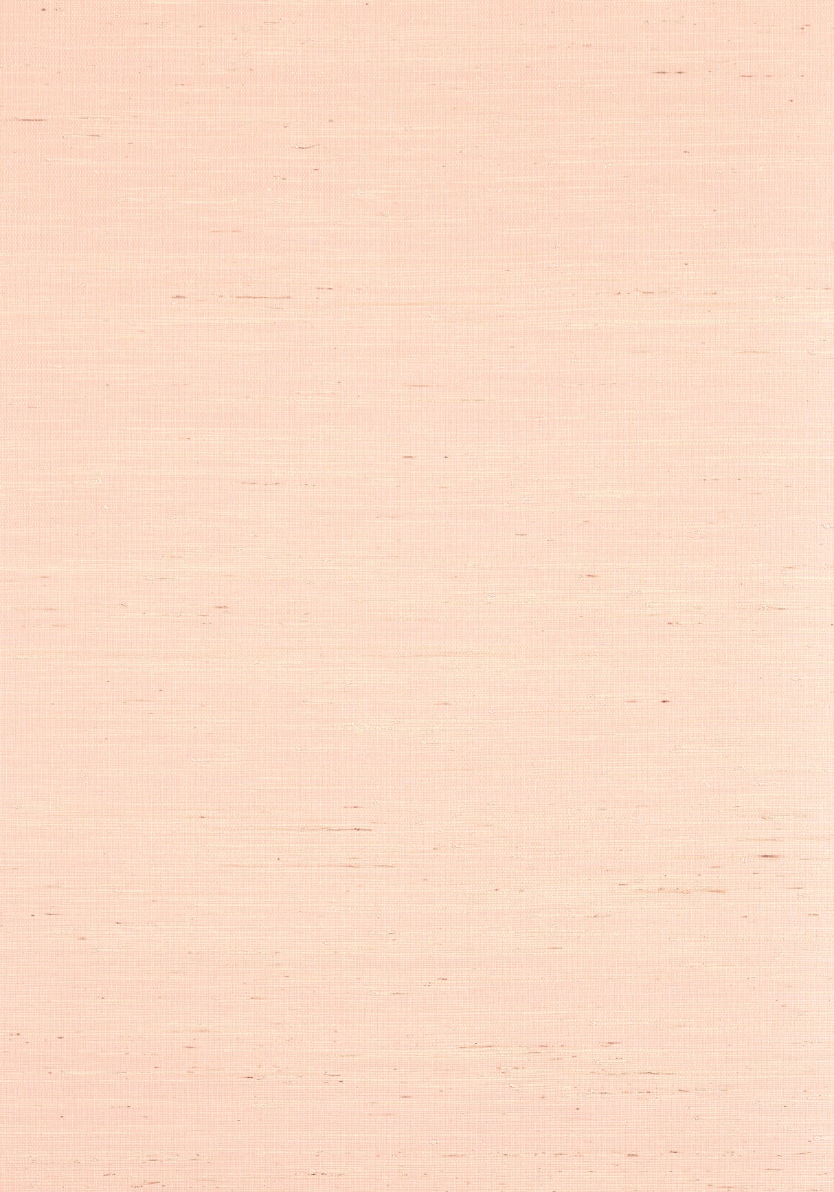 Thibaut T19655 SYDNEY Seashell Wallpaper