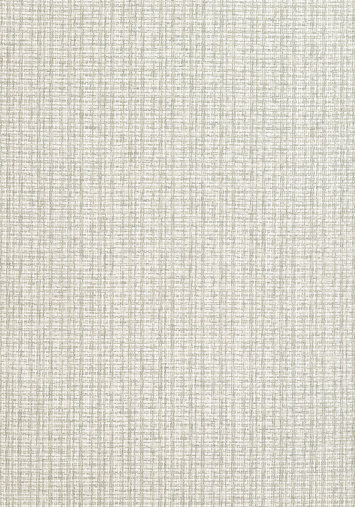 Thibaut T19661 COASTLINE Light Moss Wallpaper