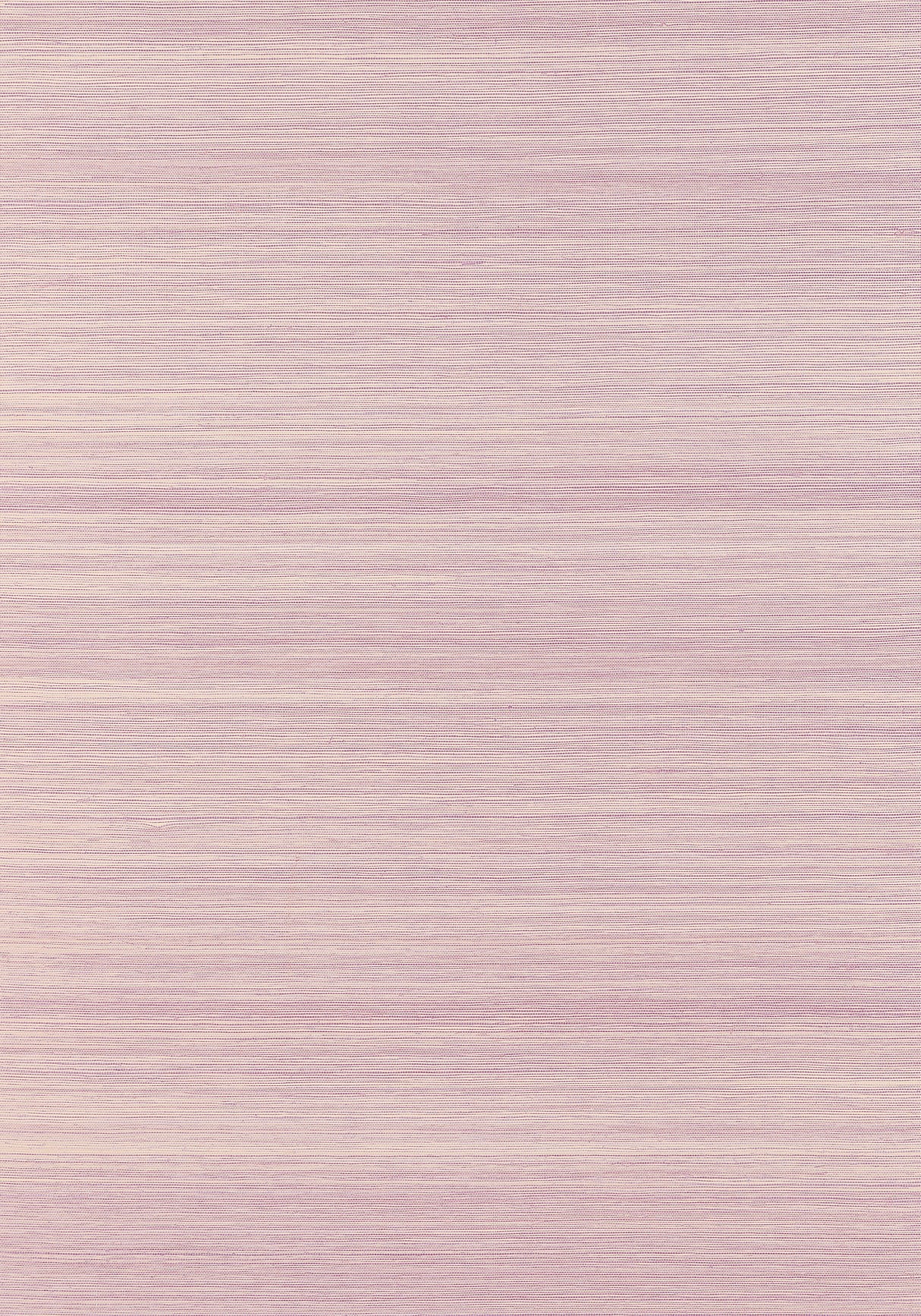 Thibaut T19663 WINDWARD SISAL Eggplant Wallpaper