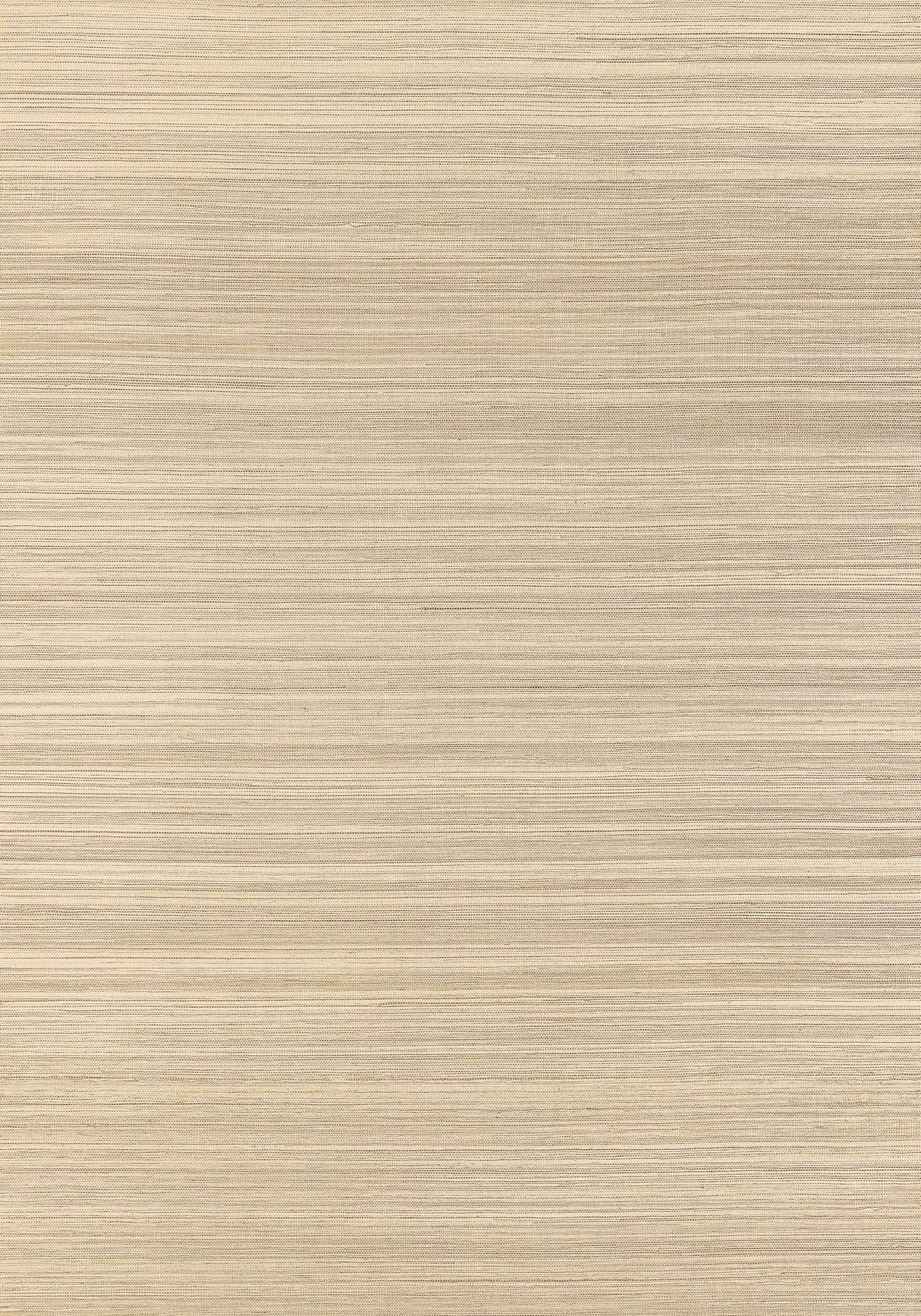 Thibaut T19678 WINDWARD SISAL Taupe Wallpaper