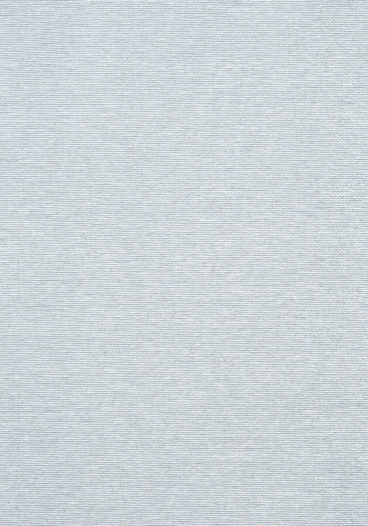 Thibaut T19699 EDWARD'S PAPER Robin's Egg Wallpaper