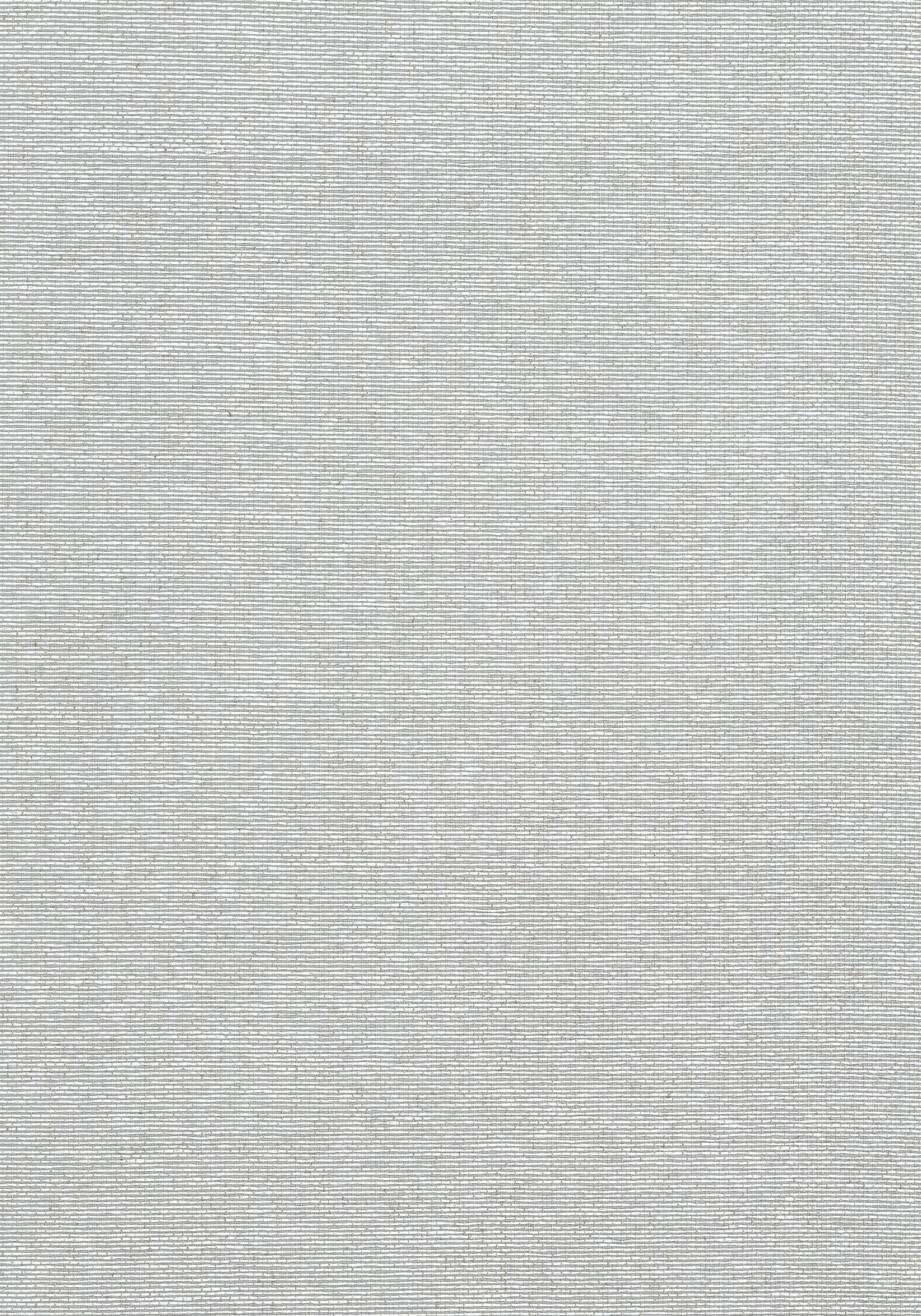 Thibaut T19701 EDWARD'S PAPER Grey Wallpaper