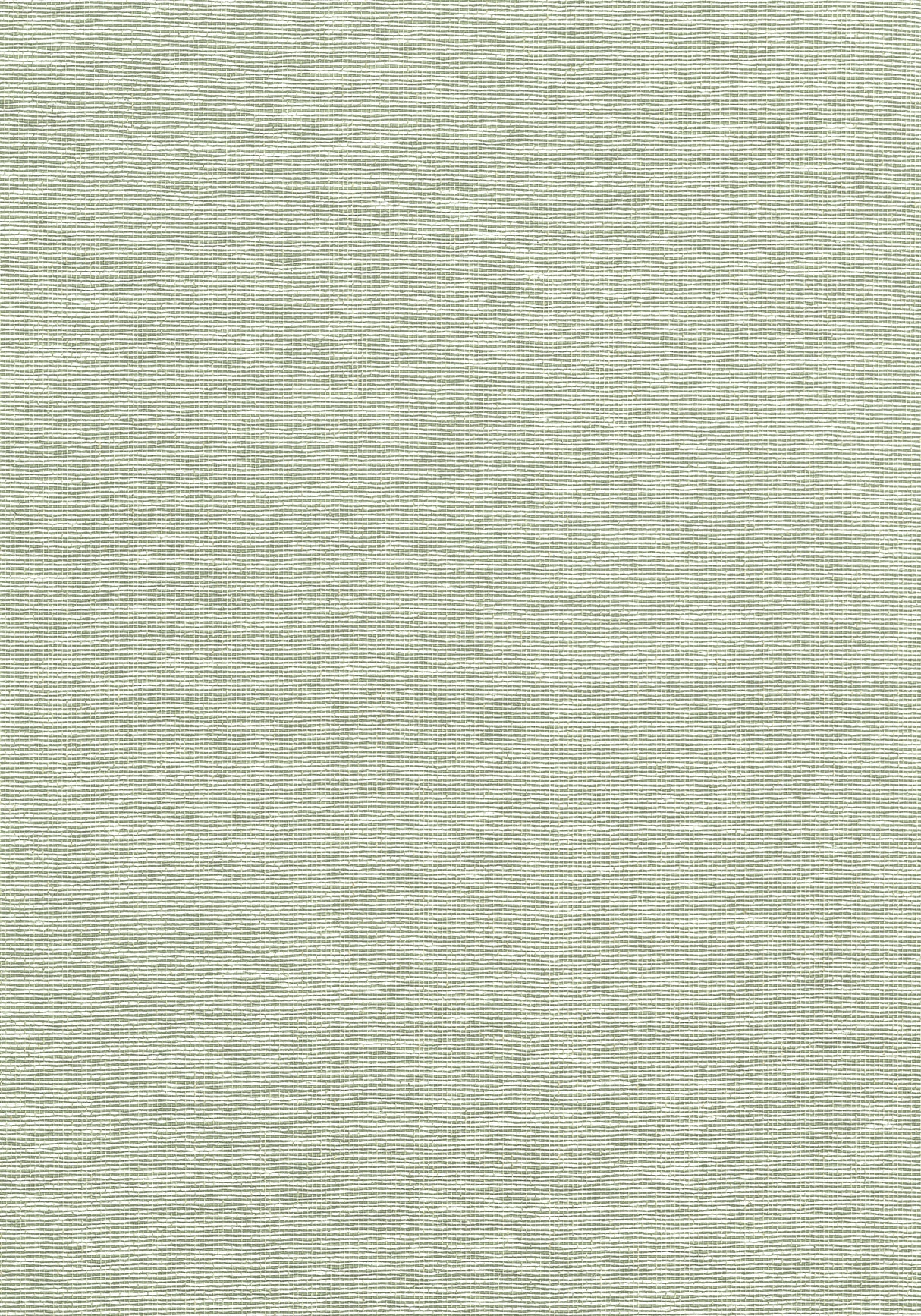 Thibaut T19703 EDWARD'S PAPER Green Wallpaper