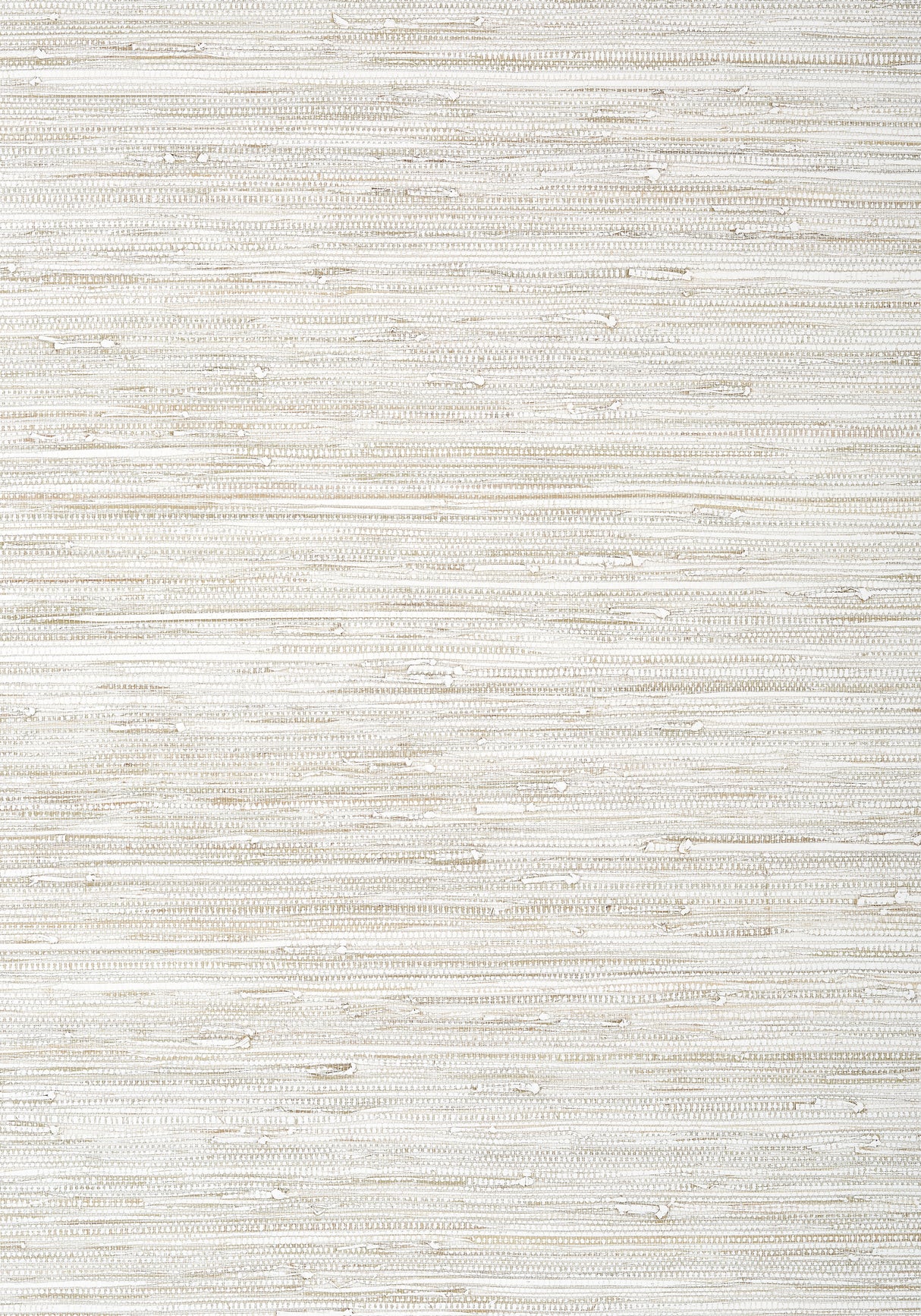 Thibaut T24055 SUTTON White Wallpaper