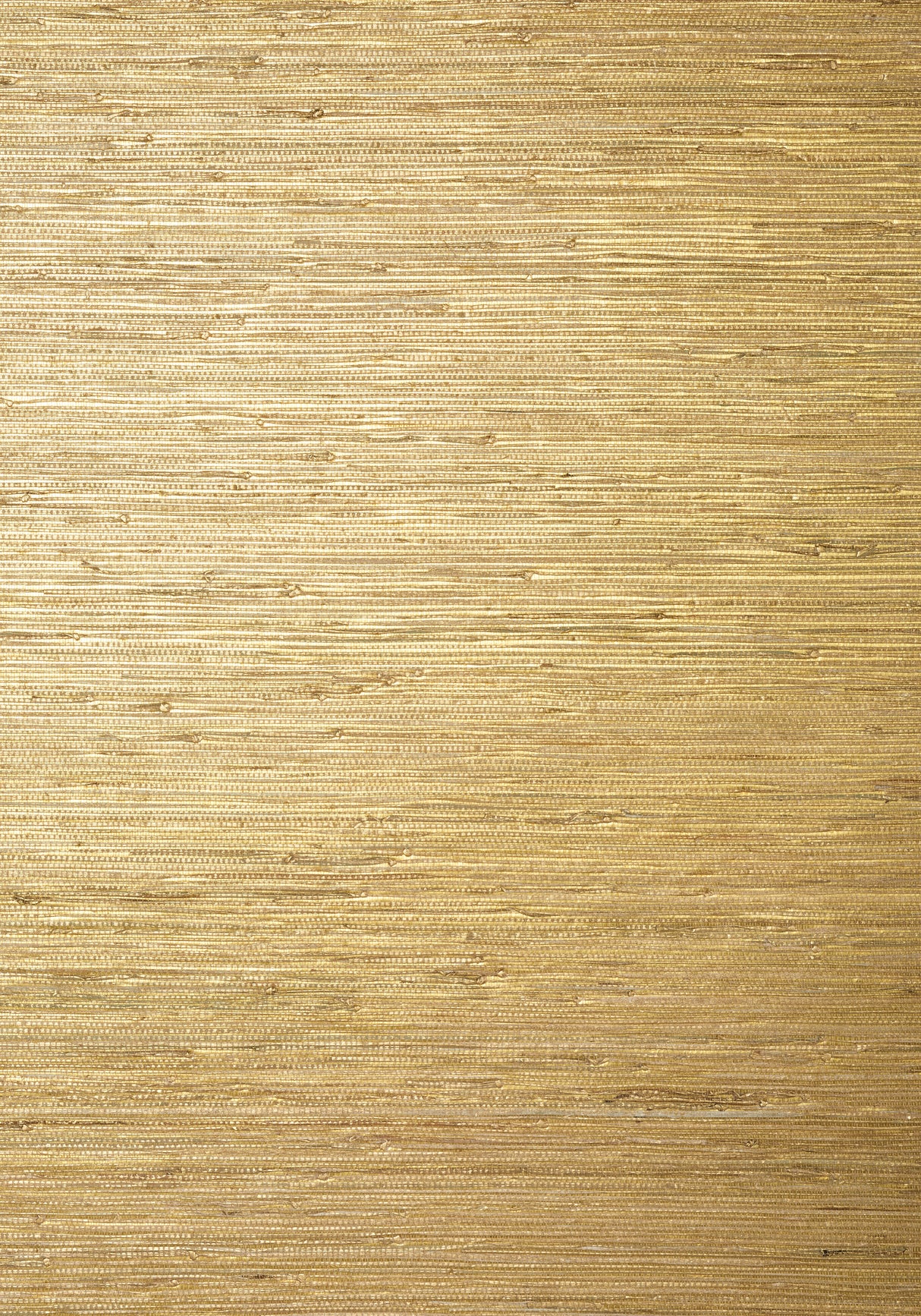 Thibaut T24062 SUTTON Metallic Gold Wallpaper