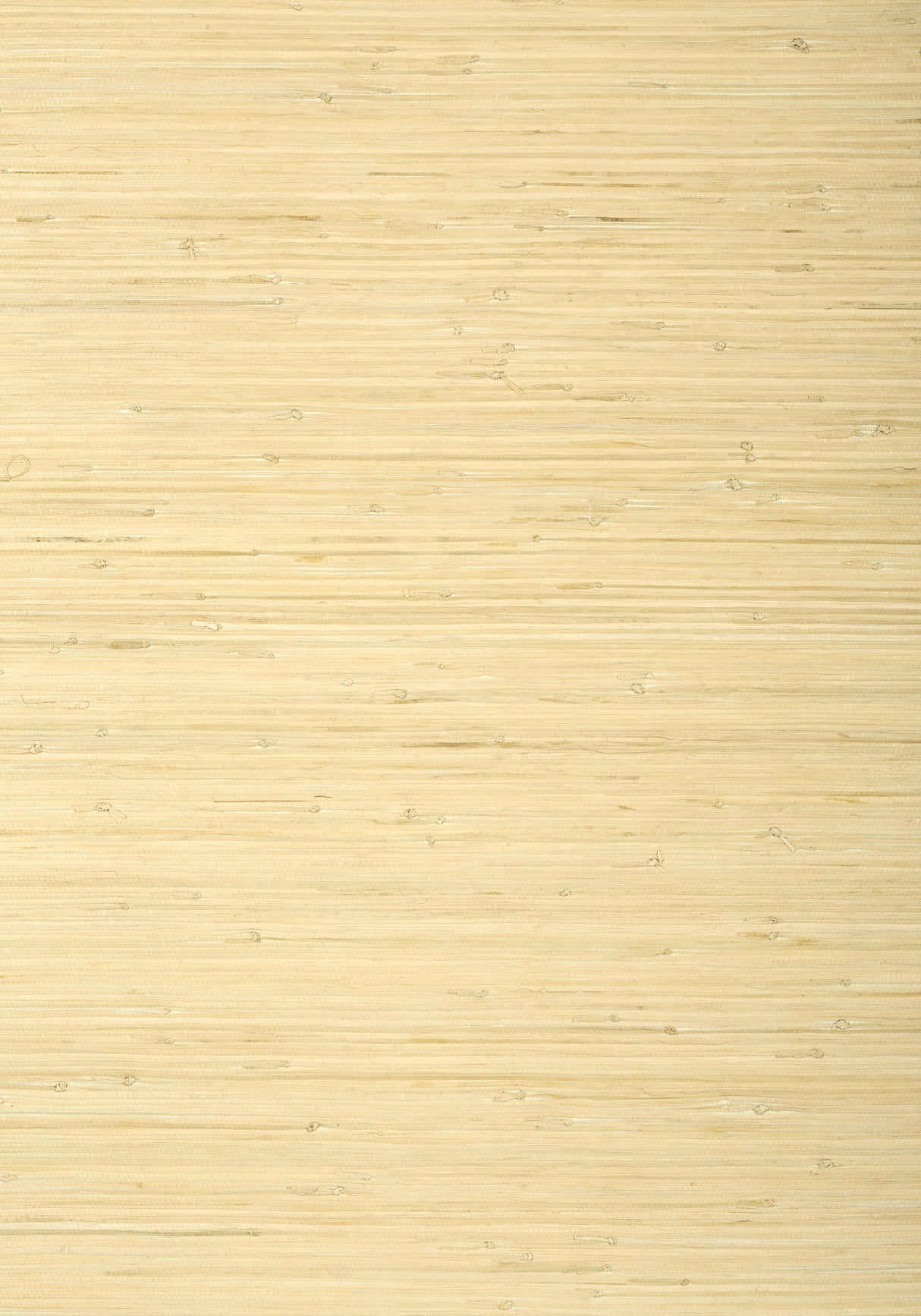 Thibaut T24065 RAFFIA PALM Natural Wallpaper