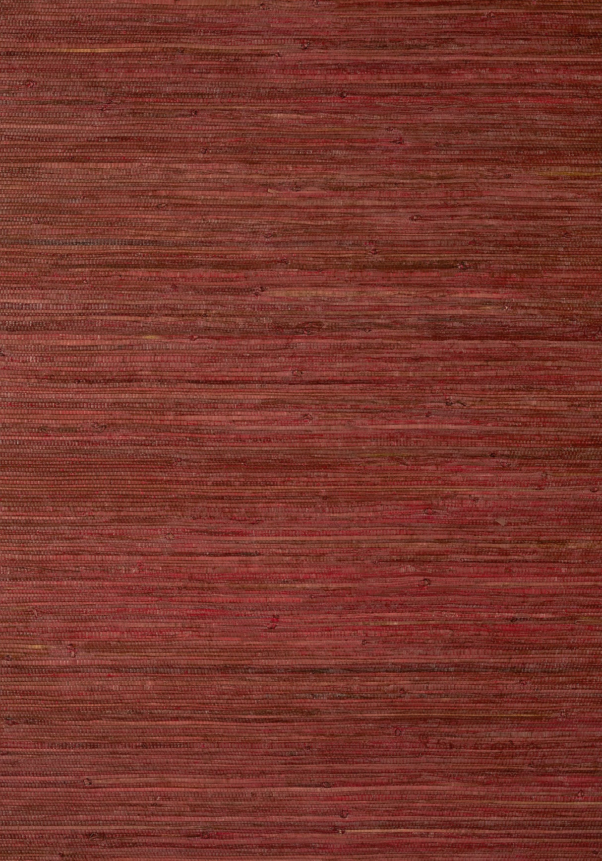 Thibaut T24068 RAFFIA PALM Sun Baked Wallpaper