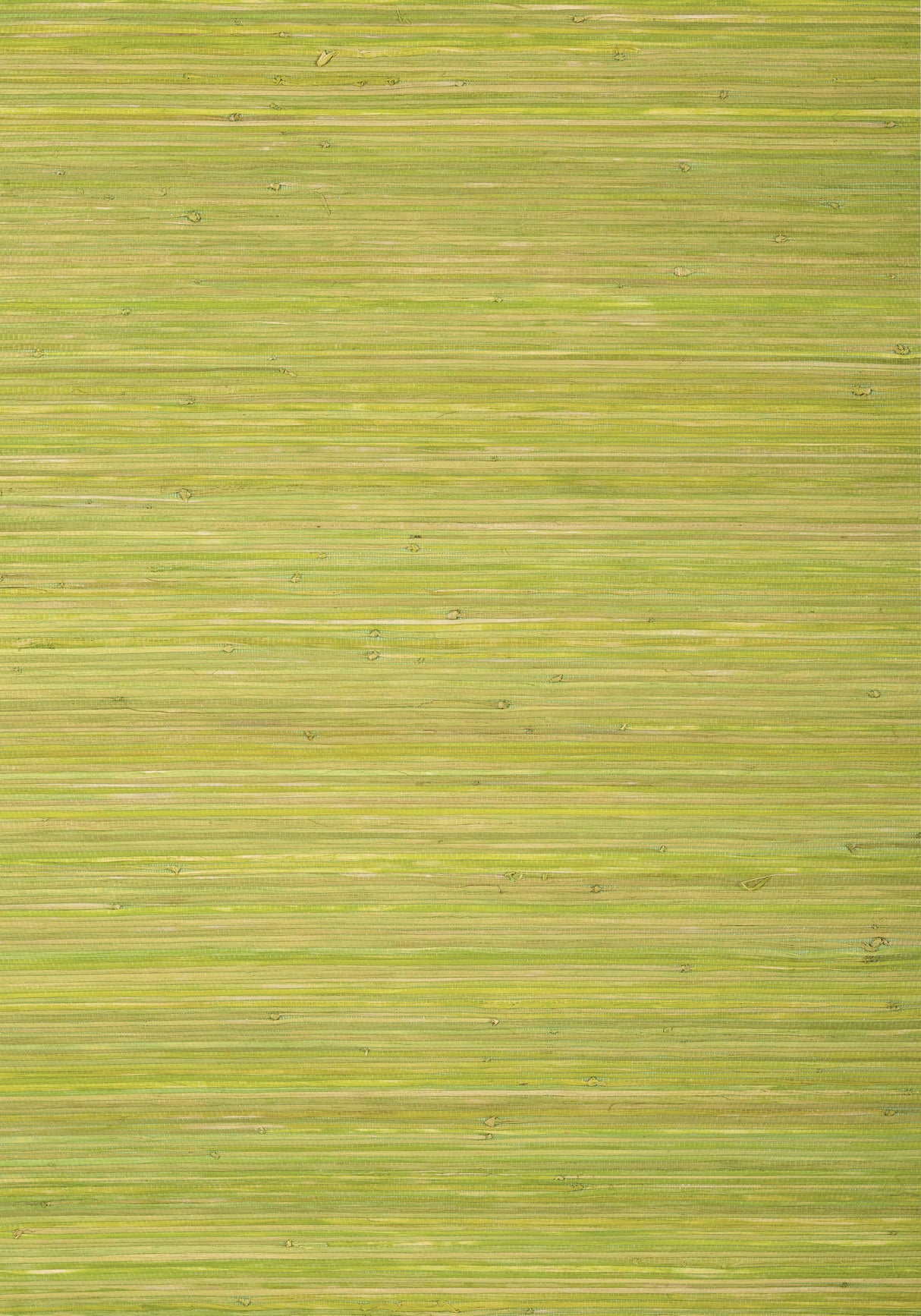 Thibaut T24070 RAFFIA PALM Apple Green Wallpaper