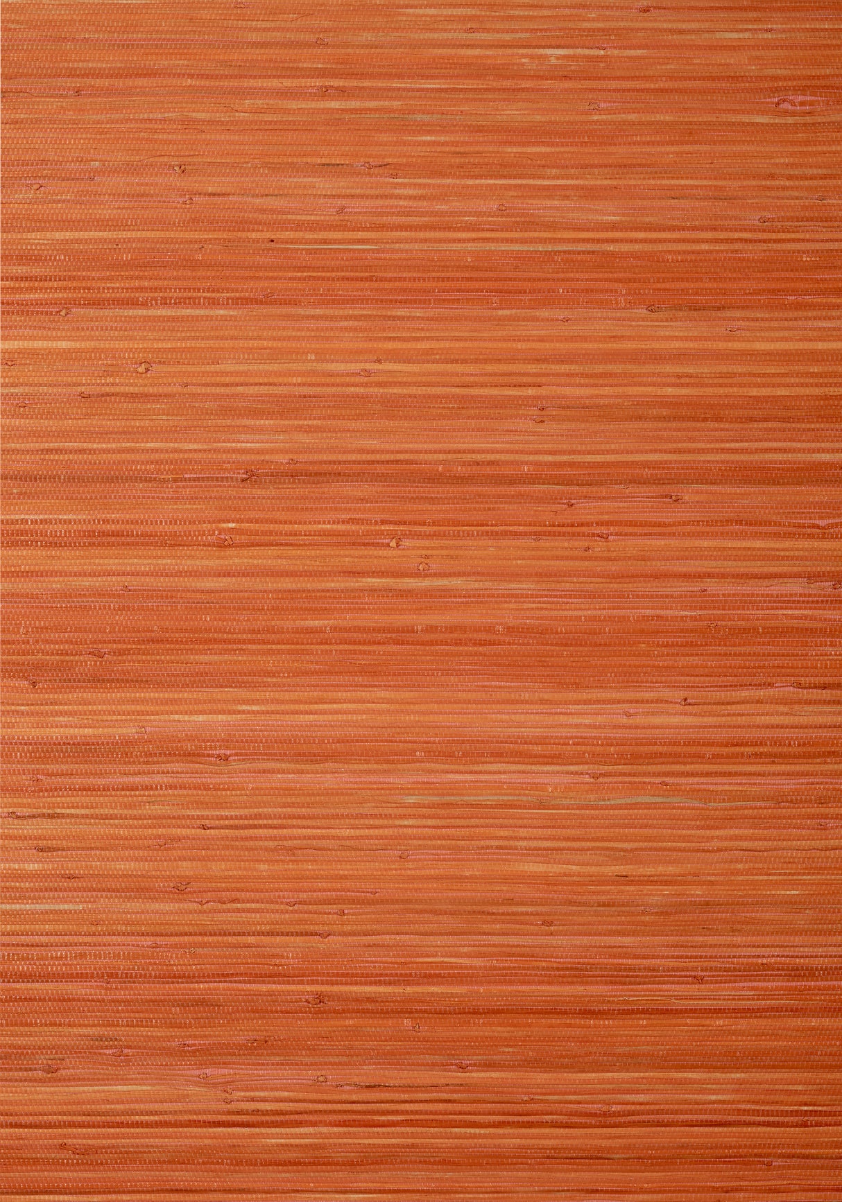 Thibaut T24072 RAFFIA PALM Orange Wallpaper