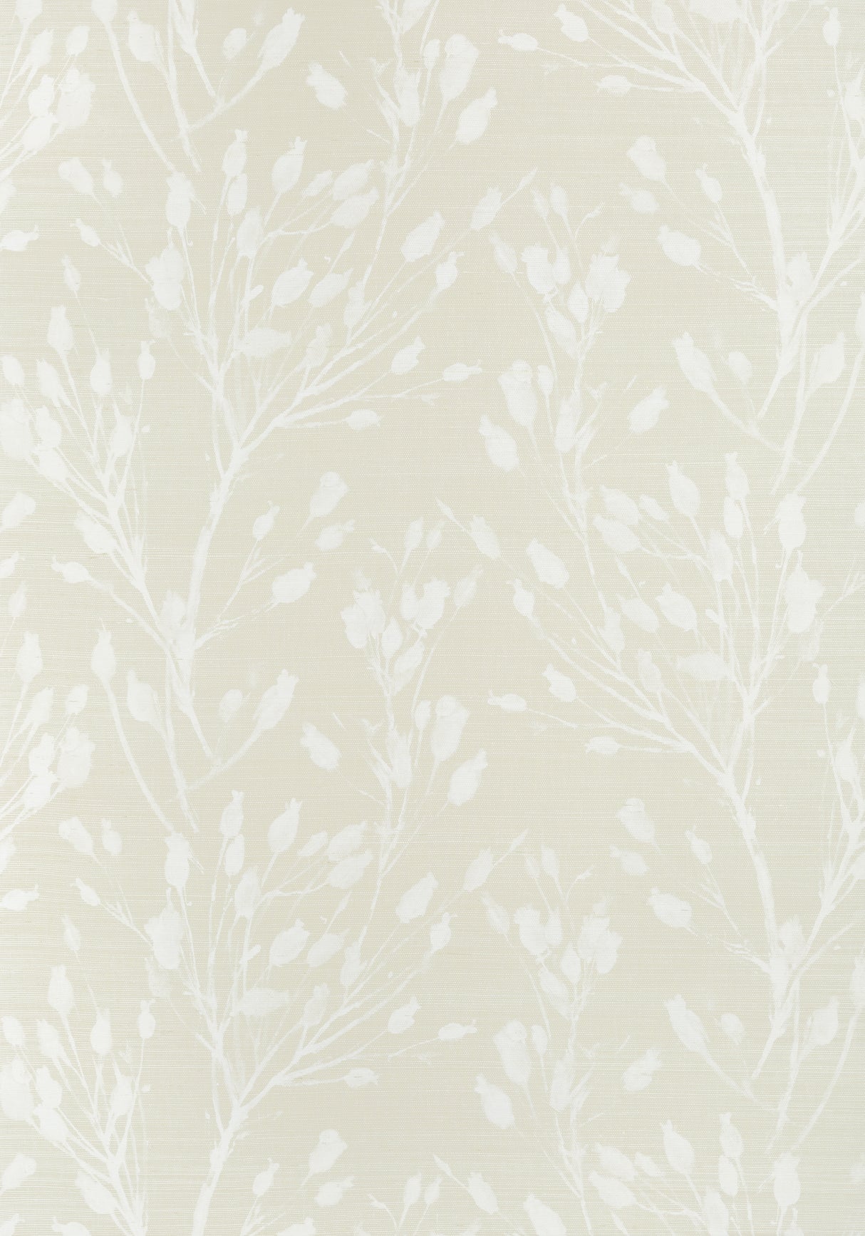 Thibaut T27023 WILD FLOWER Beige Wallpaper