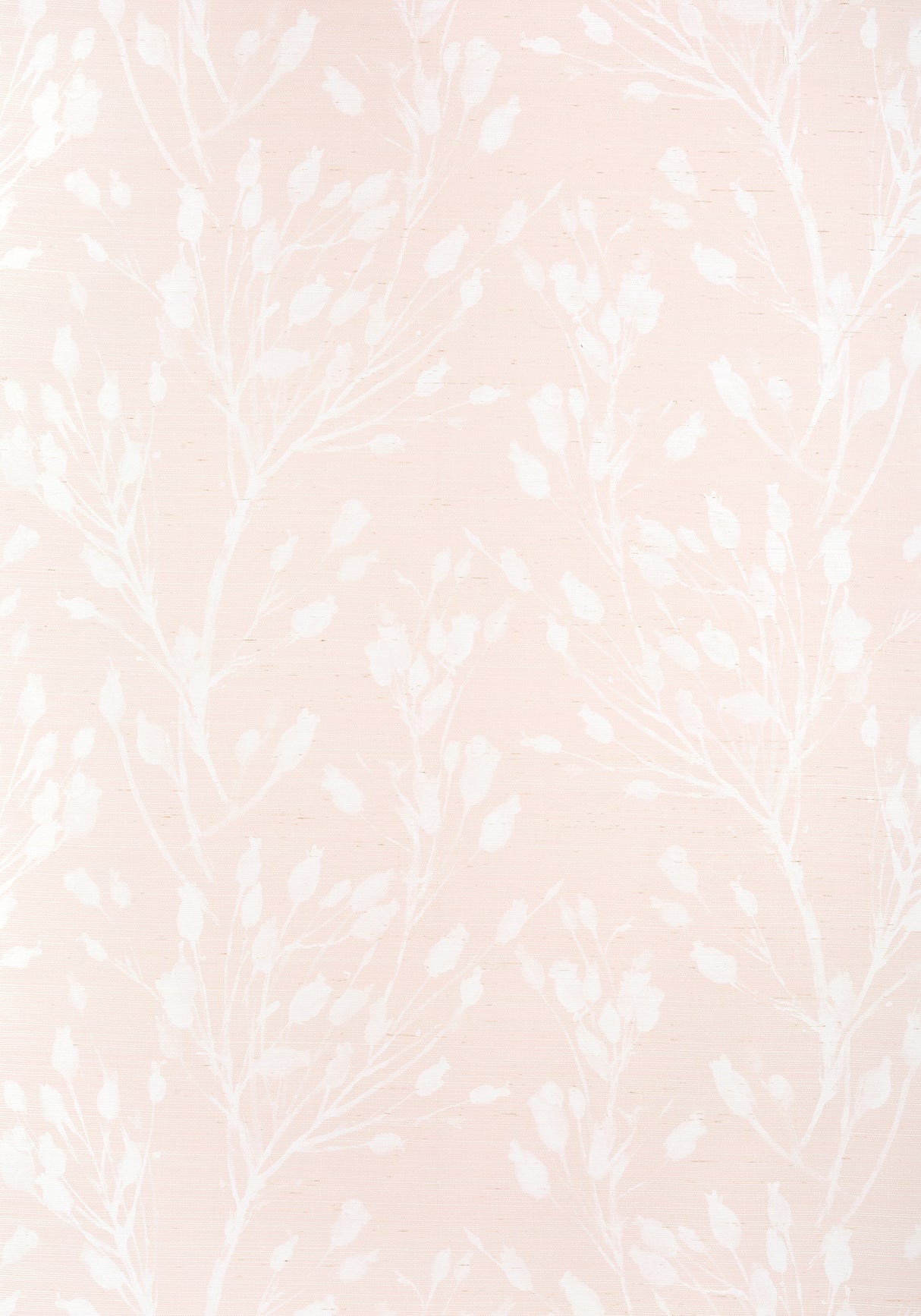 Thibaut T27024 WILD FLOWER Blush Wallpaper