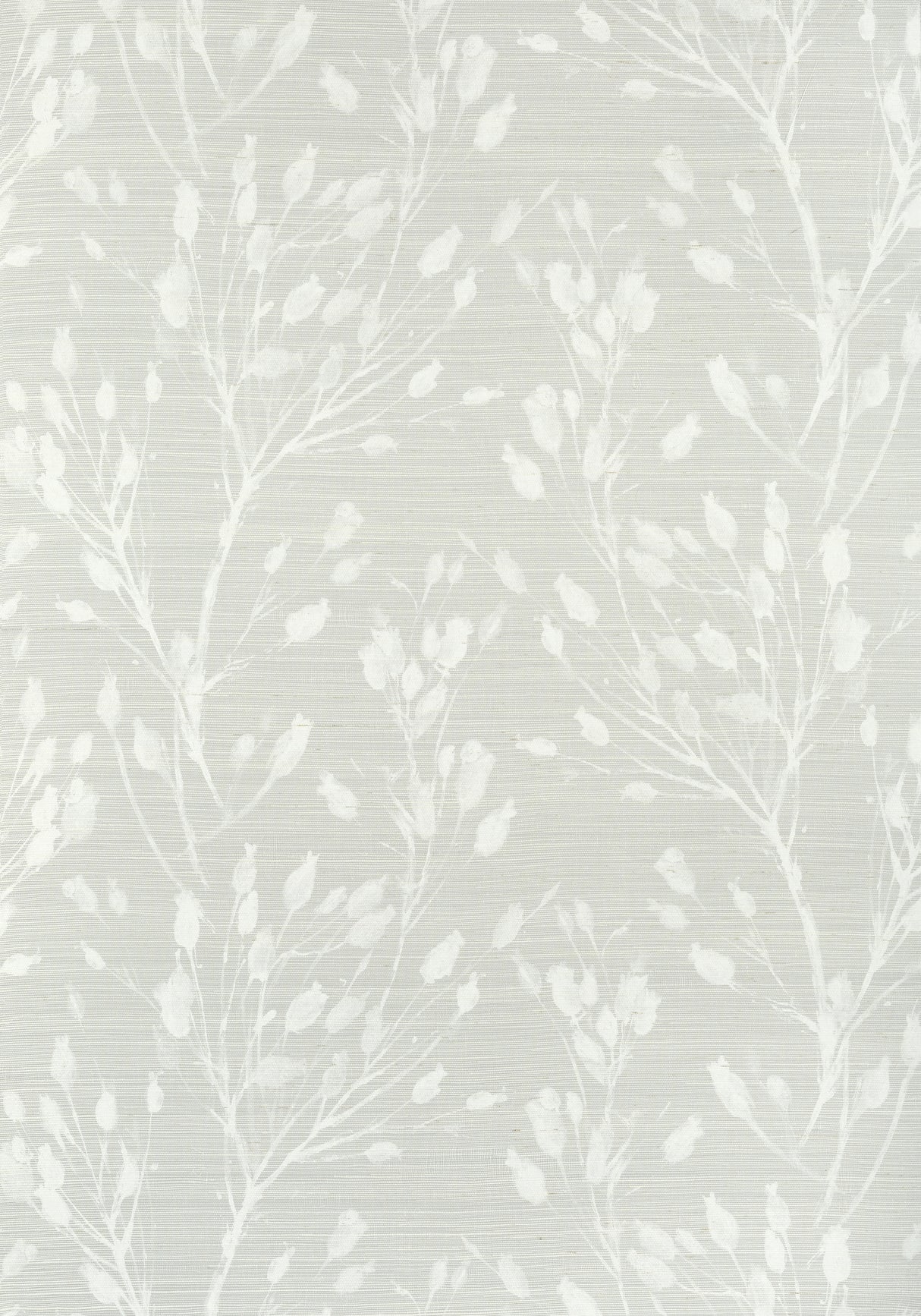 Thibaut T27025 WILD FLOWER Grey Wallpaper