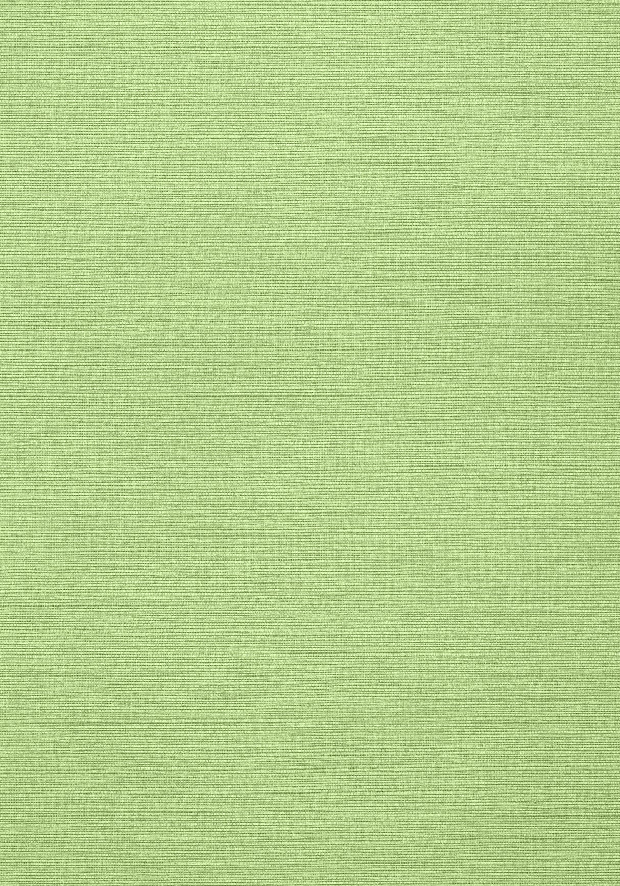 Thibaut T287 TALUK SISAL Spring Wallpaper