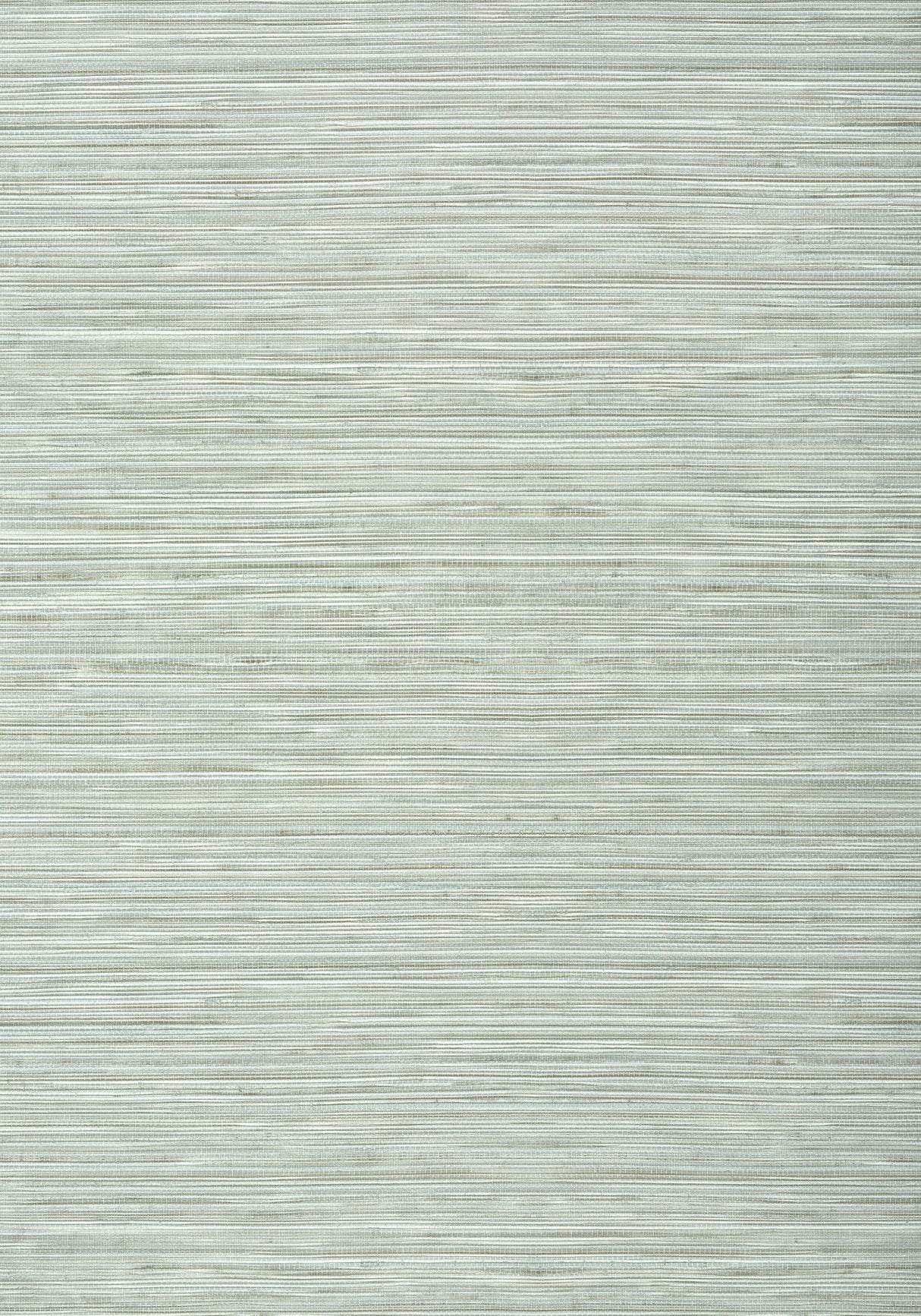 Thibaut T303 KENDARI GRASS Robin's Egg Wallpaper