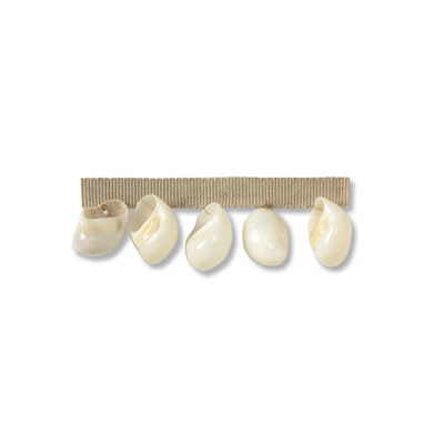 KRAVET COUTURE T30448.1.0 PEARL SHELLS SALT TRIM - Eade's Wallpaper
