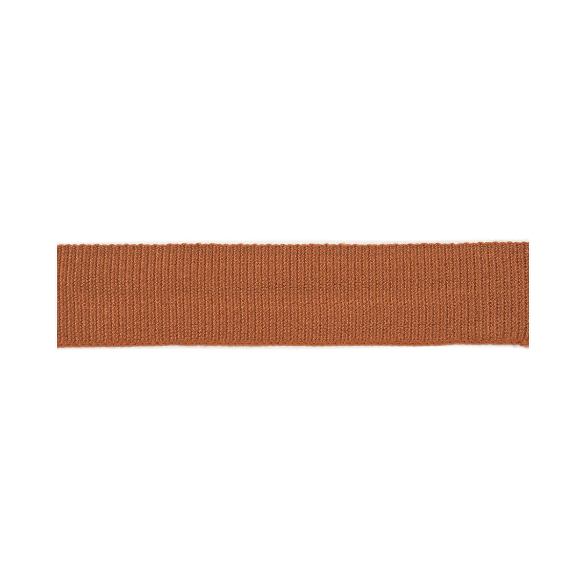 KRAVET COUTURE T30570.1224.0 MED FAILLE TAPE SPICE TRIM - Eade's Wallpaper