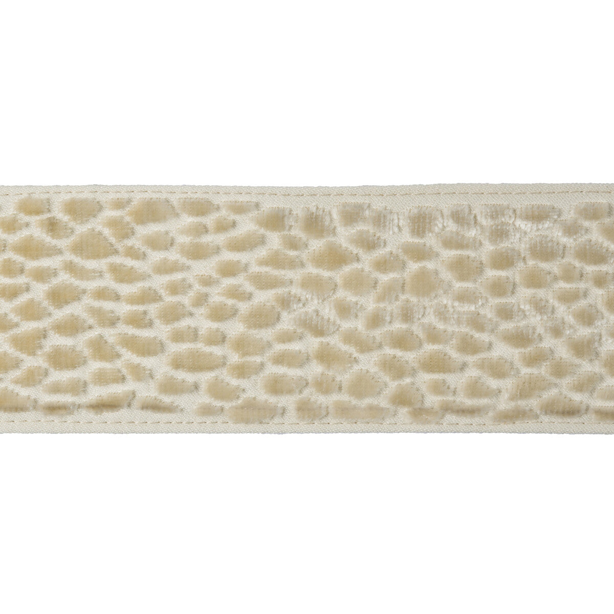 KRAVET DESIGN T30746.1.0 VELVET PEBBLE PEARL TRIM - Eade's Wallpaper