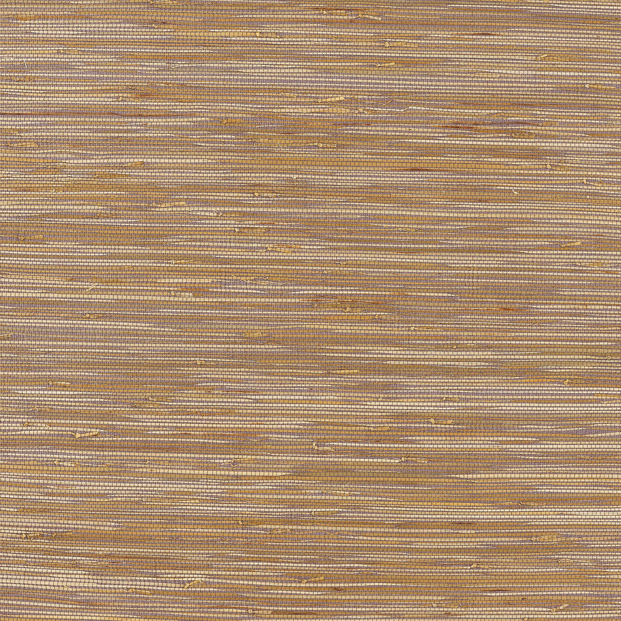 Thibaut T3621 ST. MARTIN Lavender Wallpaper