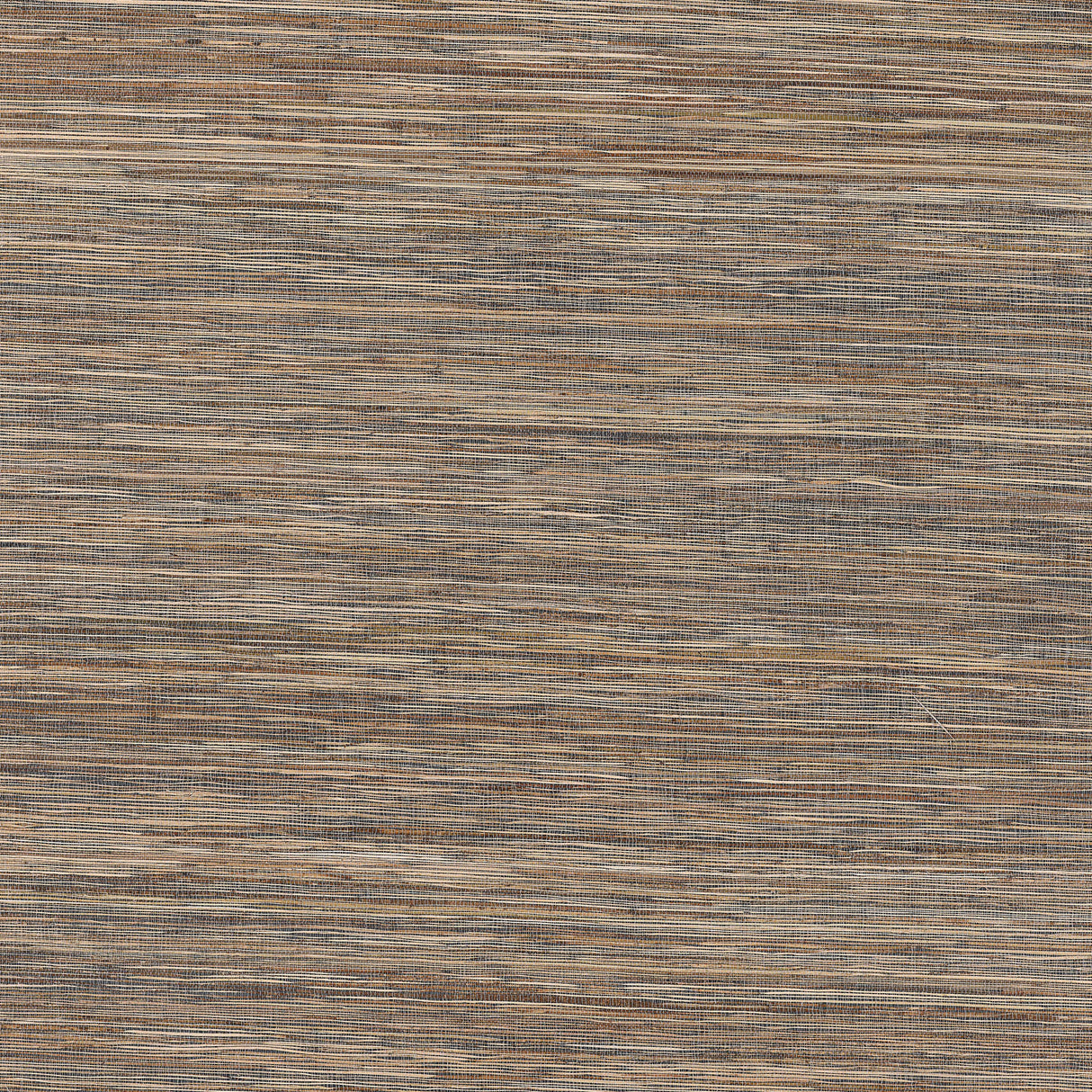 Thibaut T3634 RAMIE BAY Black Wallpaper