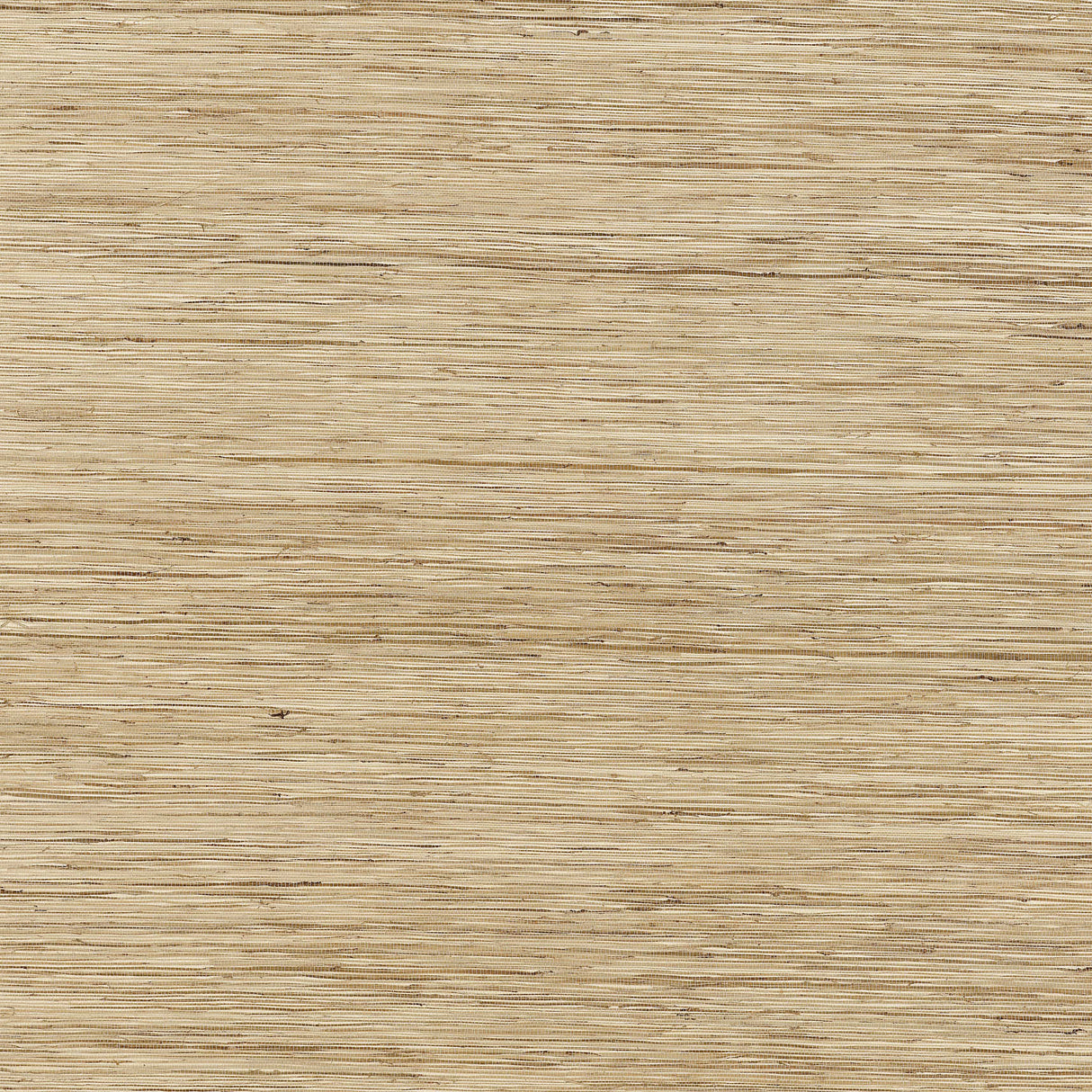 Thibaut T3635 RAMIE BAY Beige Wallpaper
