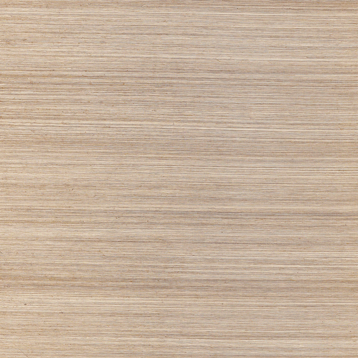 Thibaut T3660 WINDWARD SISAL Beige Wallpaper