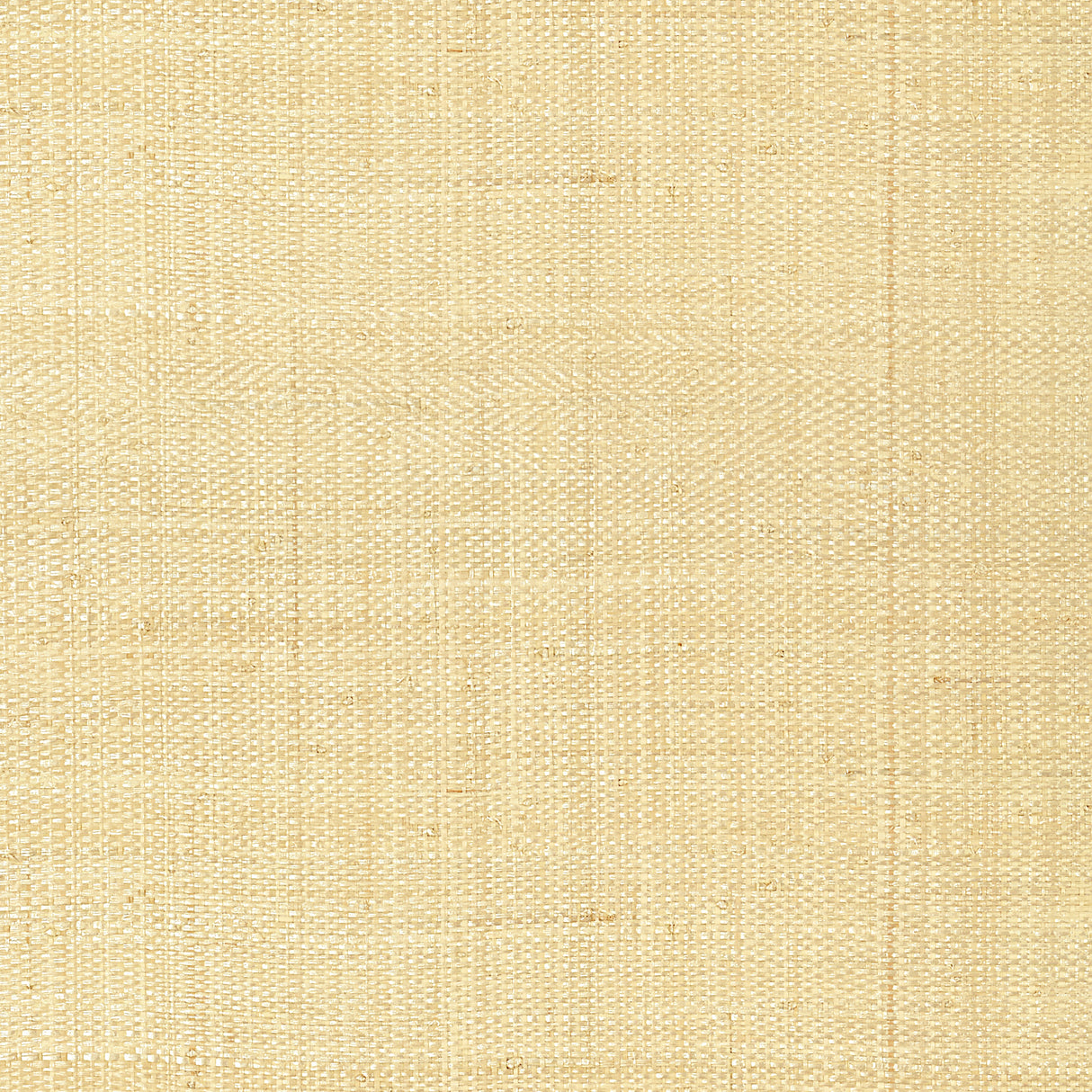 Thibaut T41106 PEARL BAY Off White Wallpaper