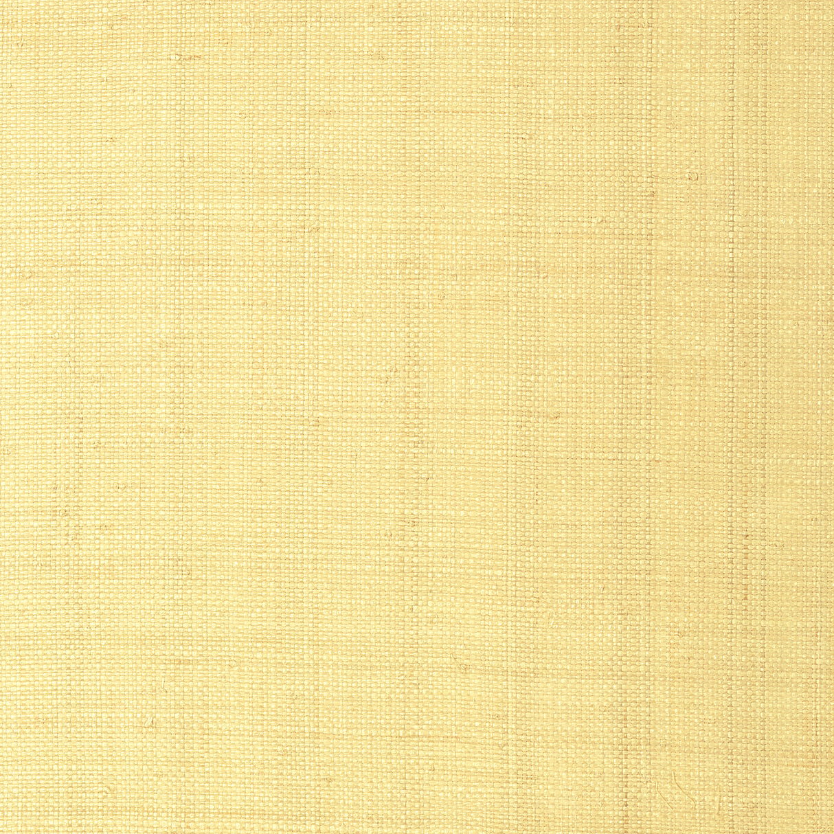Thibaut T41108 PEARL BAY Straw Wallpaper