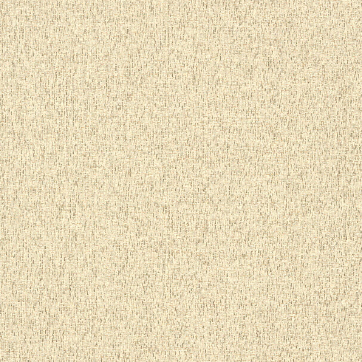 Thibaut T41127 ADRIATIC Cream Wallpaper