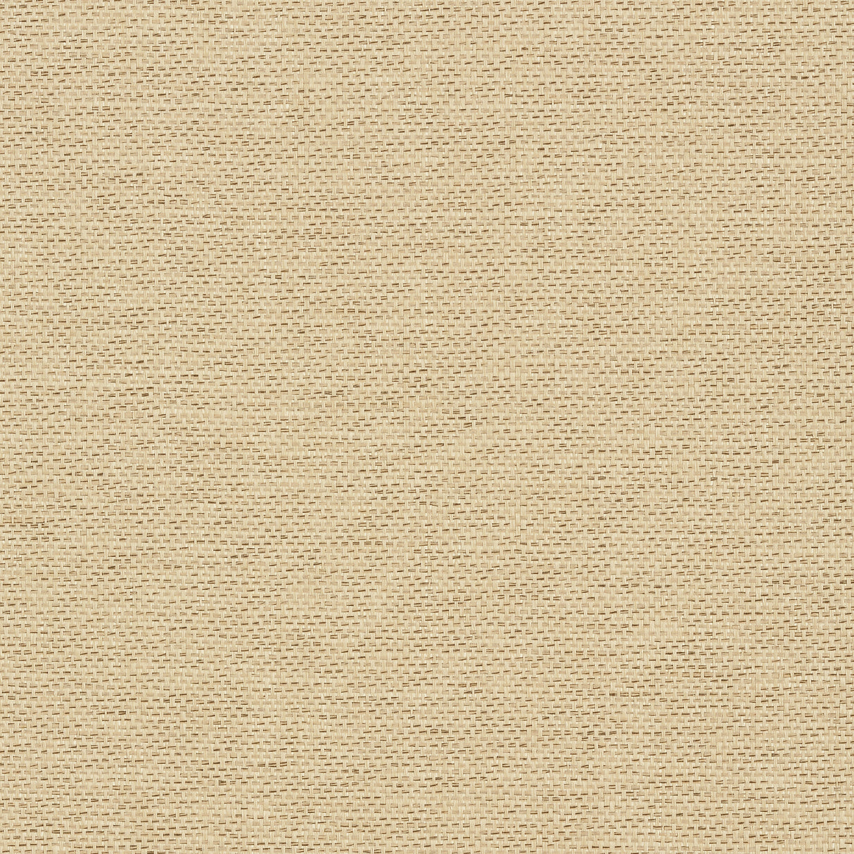 Thibaut T41129 ADRIATIC Beige and Black Wallpaper