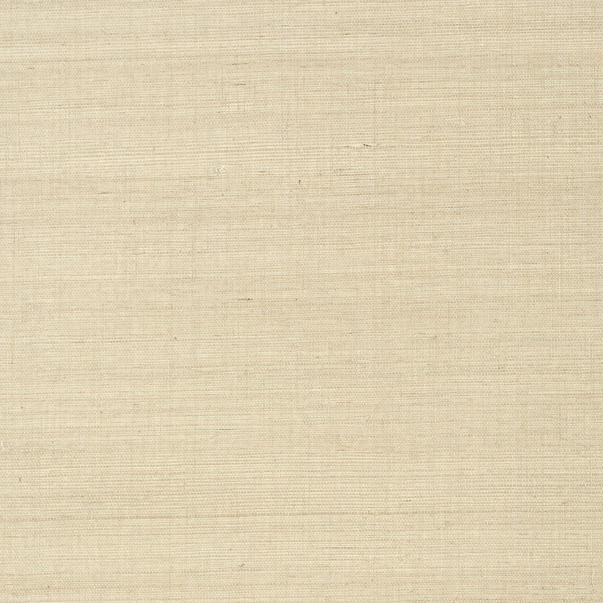 Thibaut T41163 SHANG EXTRA FINE SISAL Flax Wallpaper