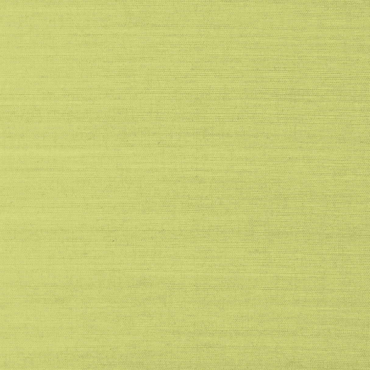 Thibaut T41181 SHANG EXTRA FINE SISAL Green Wallpaper