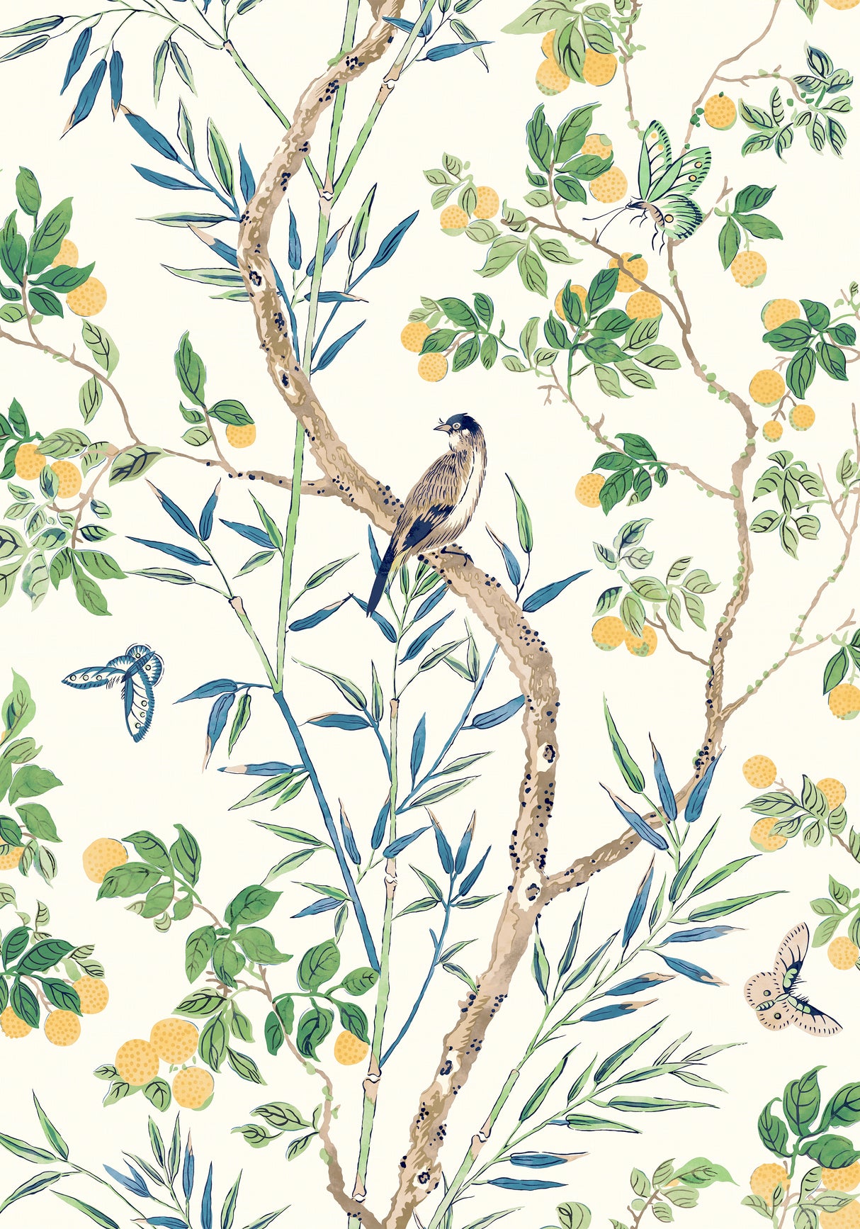 Thibaut T42013 CLAIRE Yellow and Navy Wallpaper